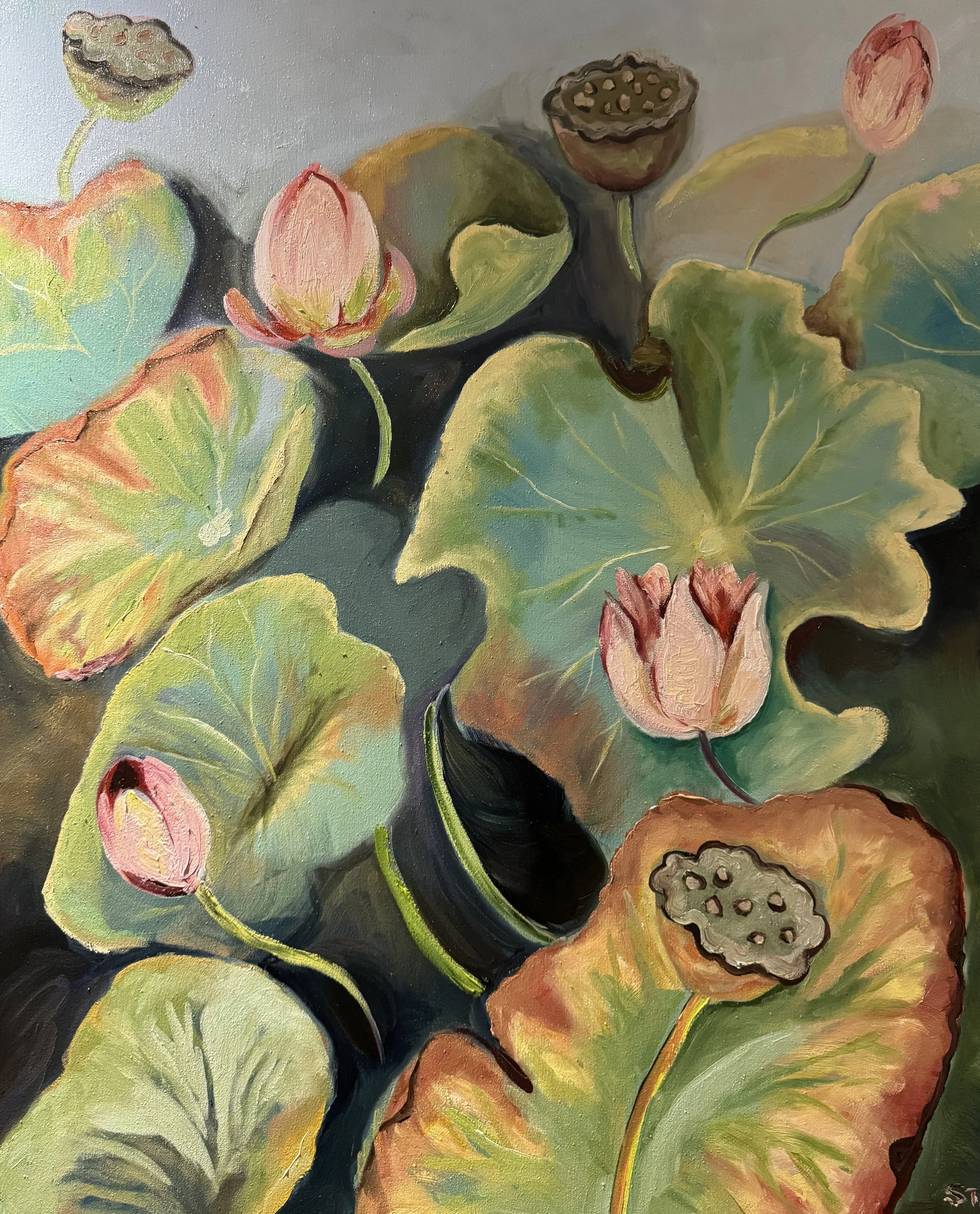 S102 | Wendy Steyn | Painter