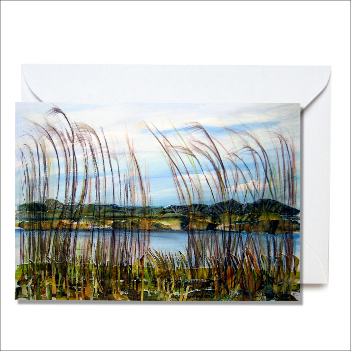 Slapton Ley reed beds CARD.png