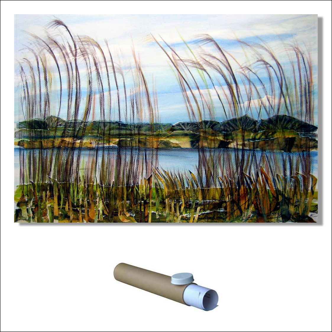 Slapton Ley reed beds PRINT.png