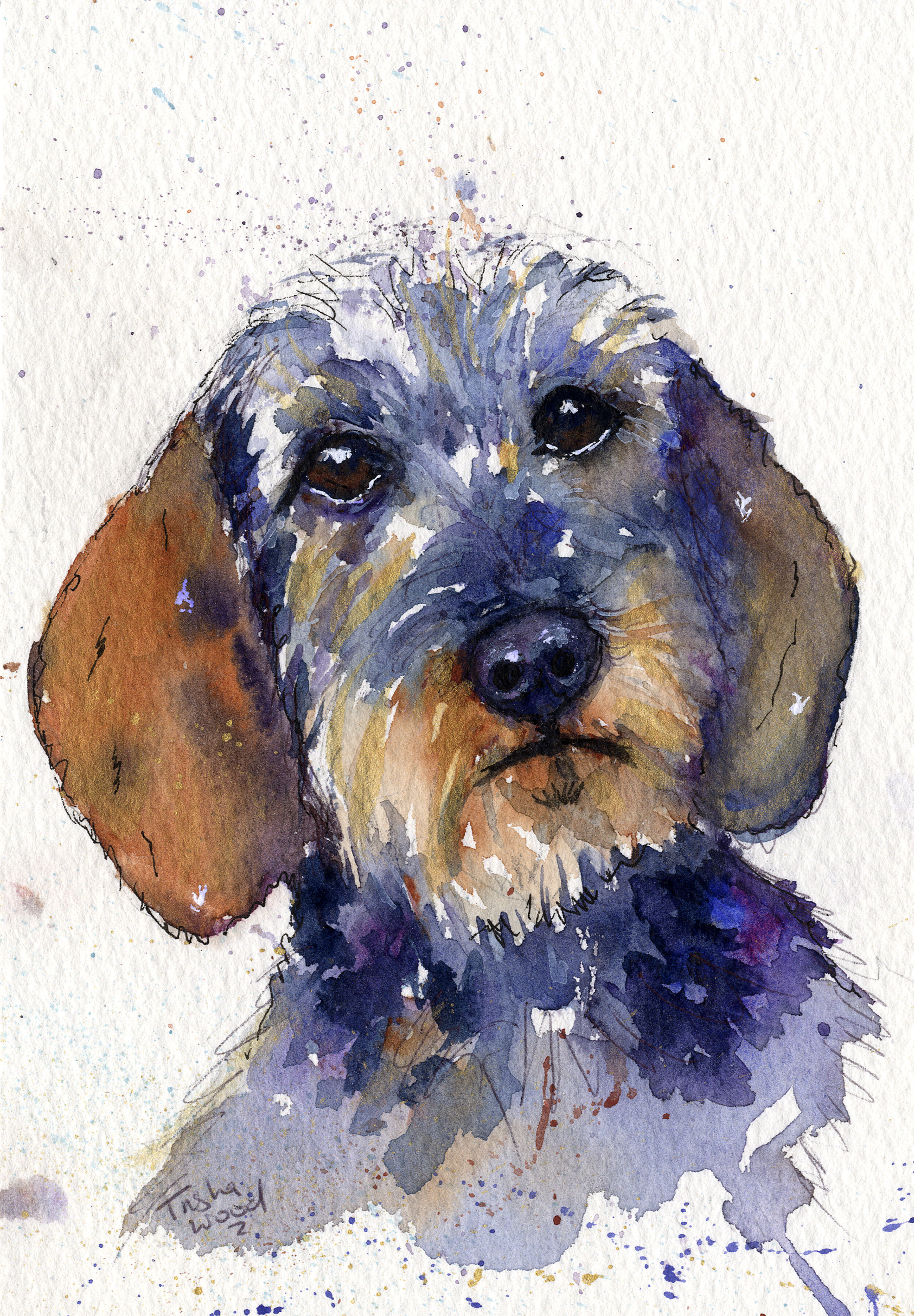 Dachshund 1812.jpg