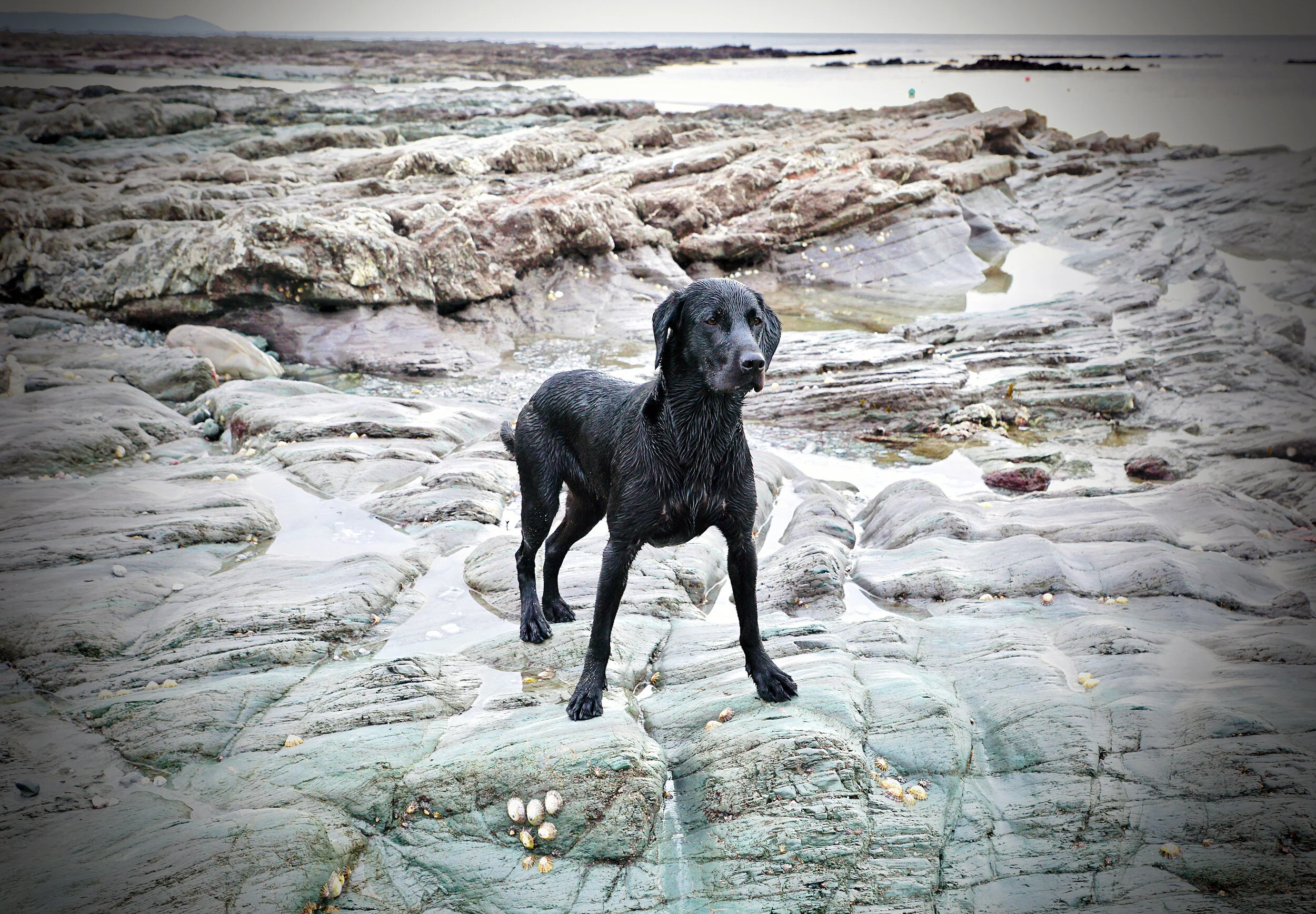 Lottie on the rocks 1812.jpg