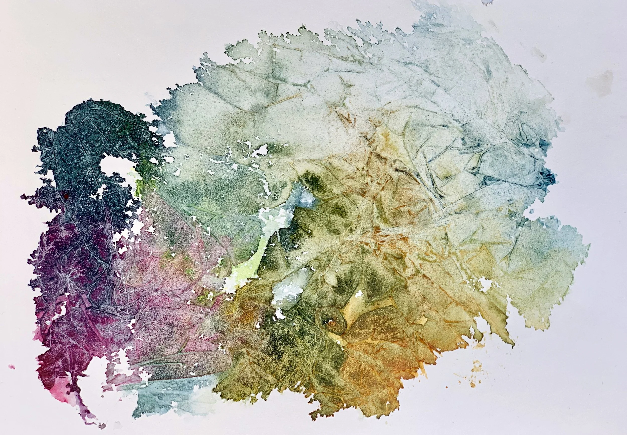 Leaf Fragments