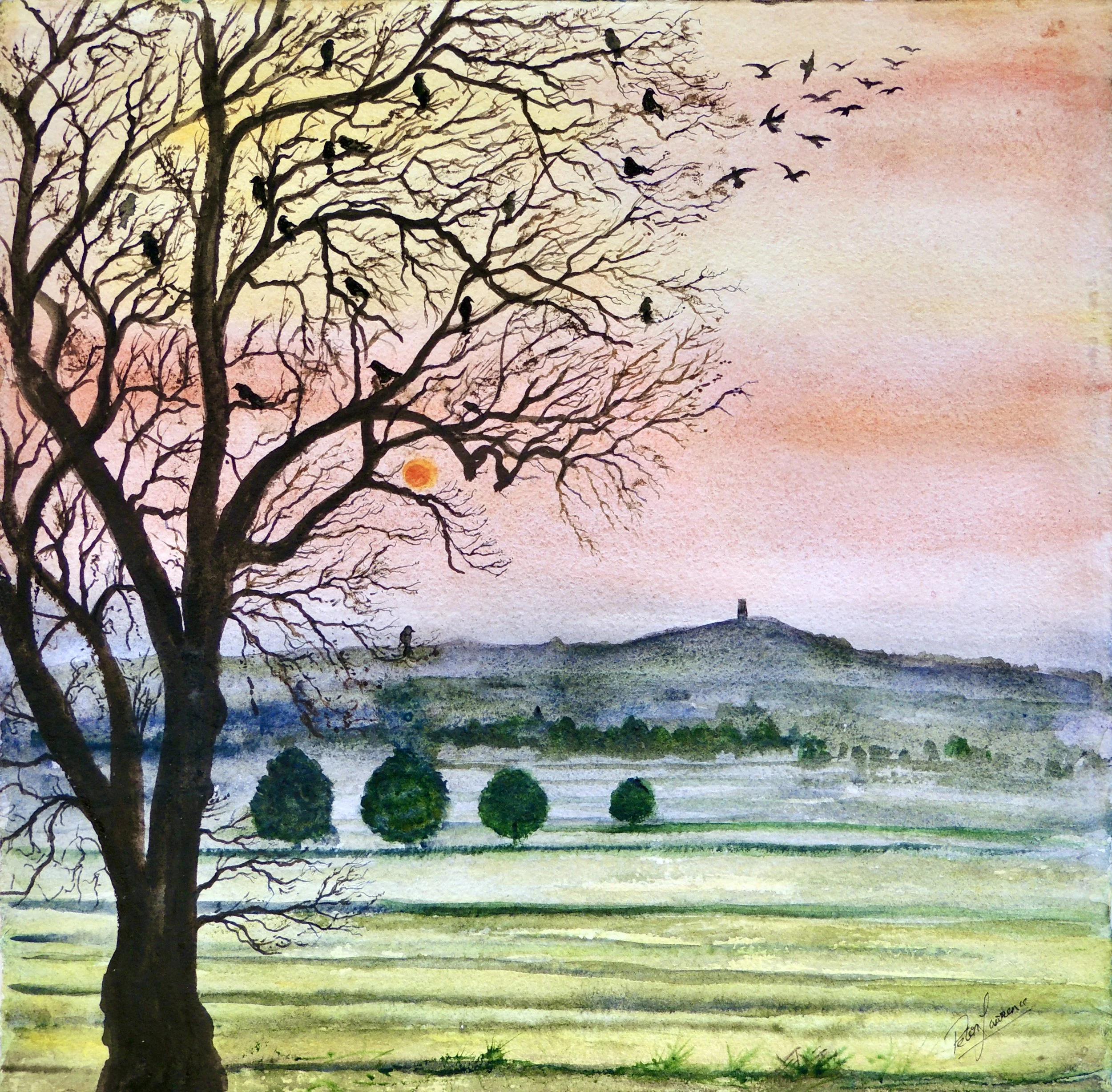 Crow Sanctuary