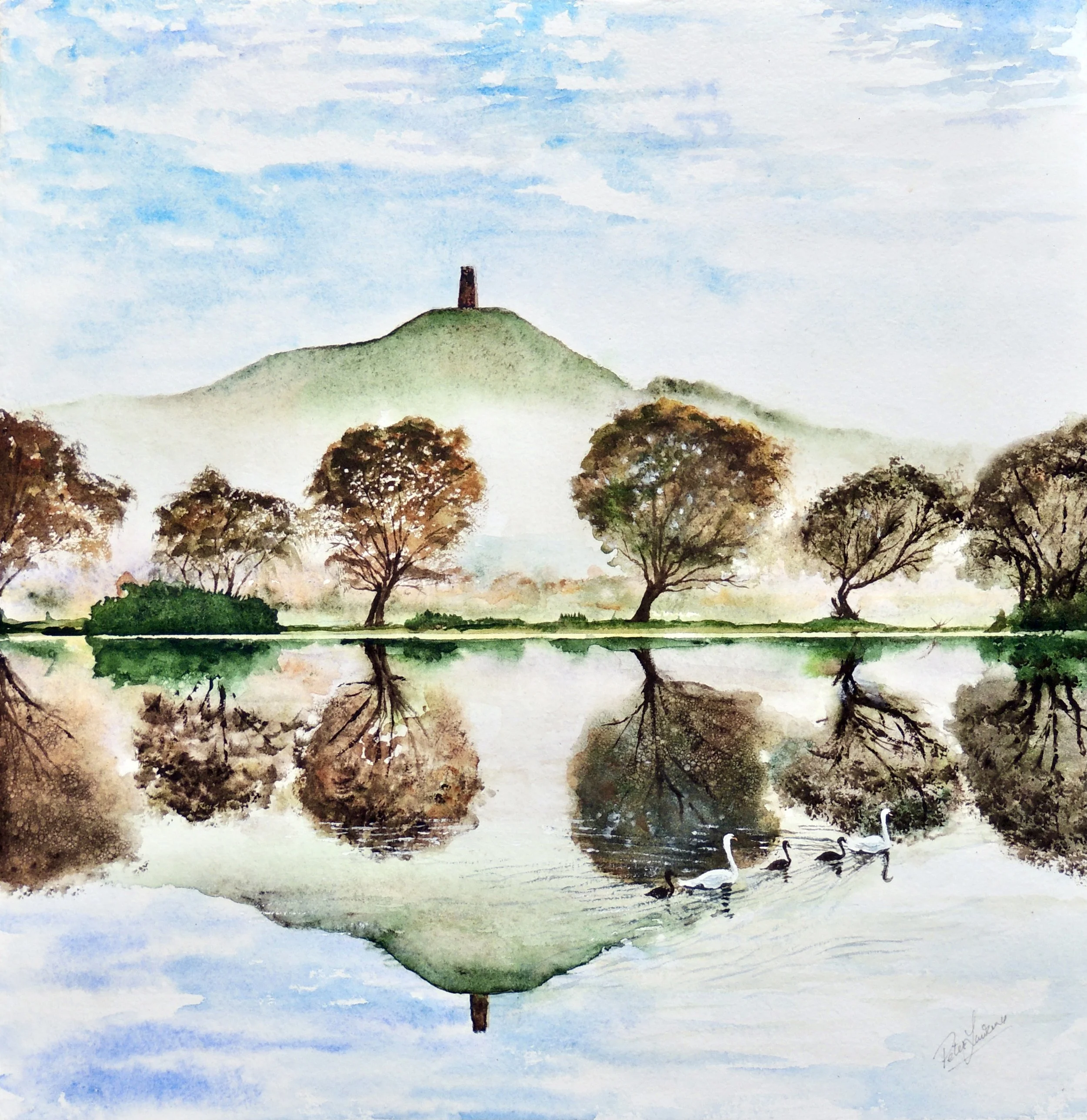 Tor Swans