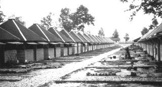 12. Camp Forrest Huts.jpg