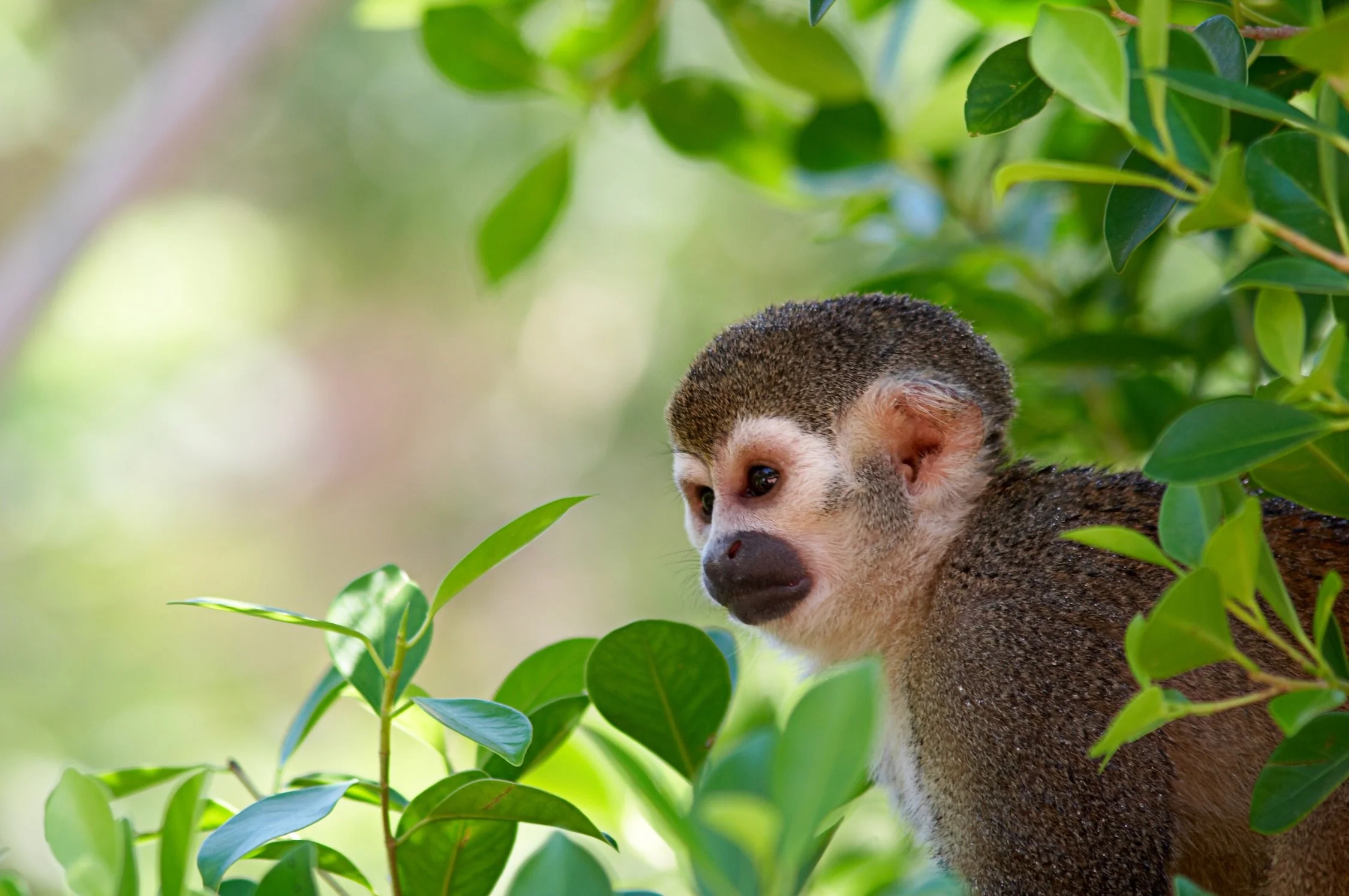 Working from the Ground Up in the Peruvian Amazon