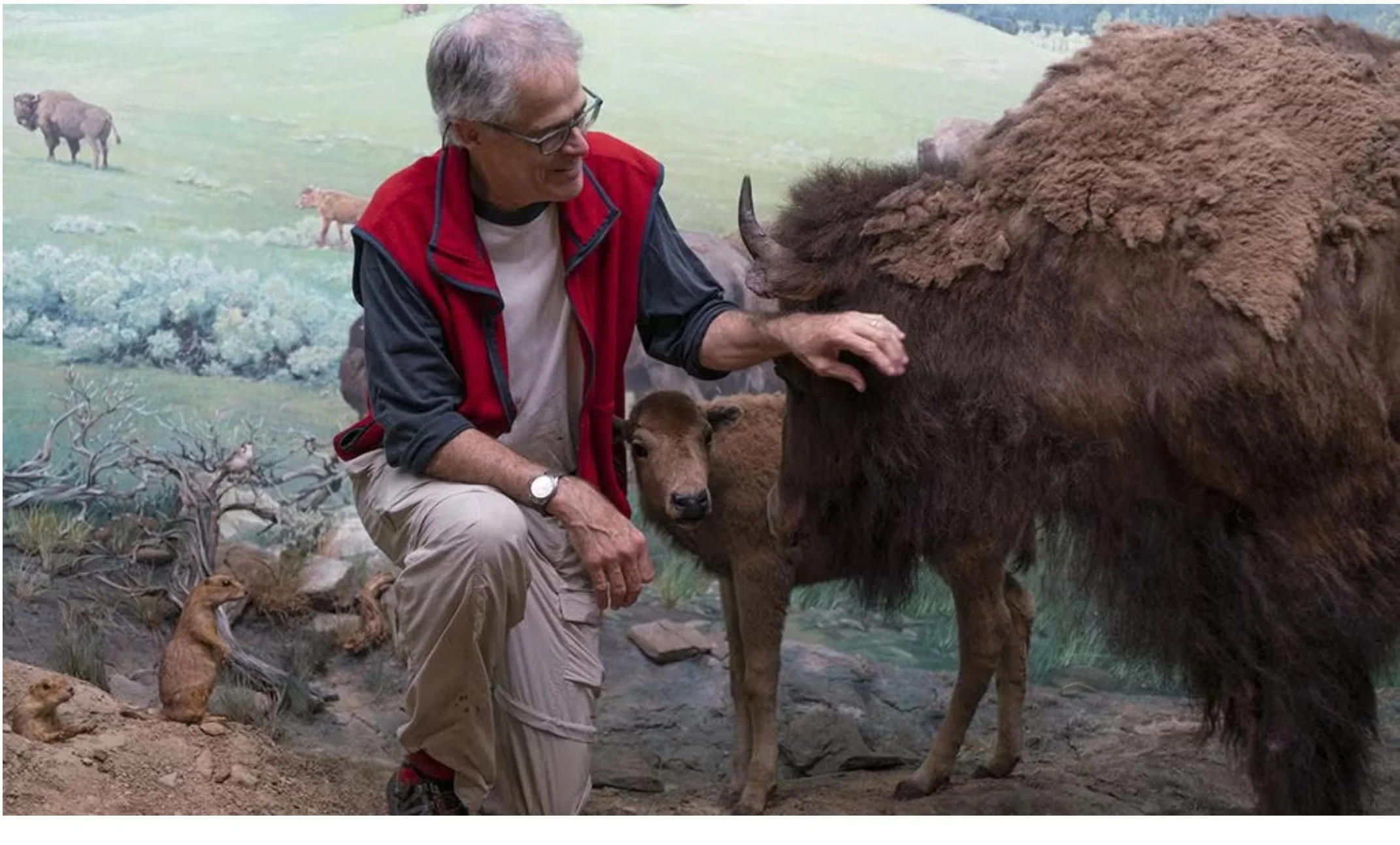 Revisiting the Wild – A Mid-Summer Look Back