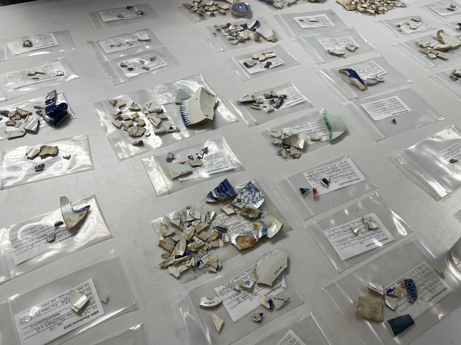 sorting ceramics.jpeg