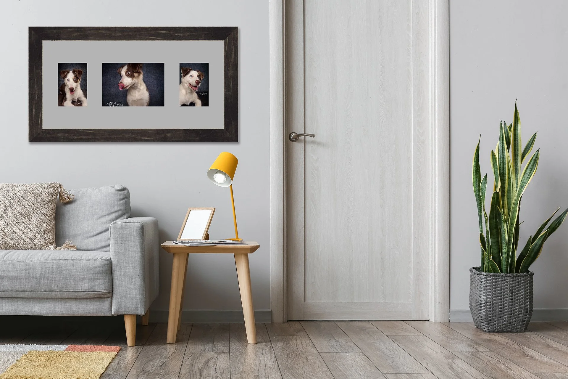 Todd Cremeans Photography