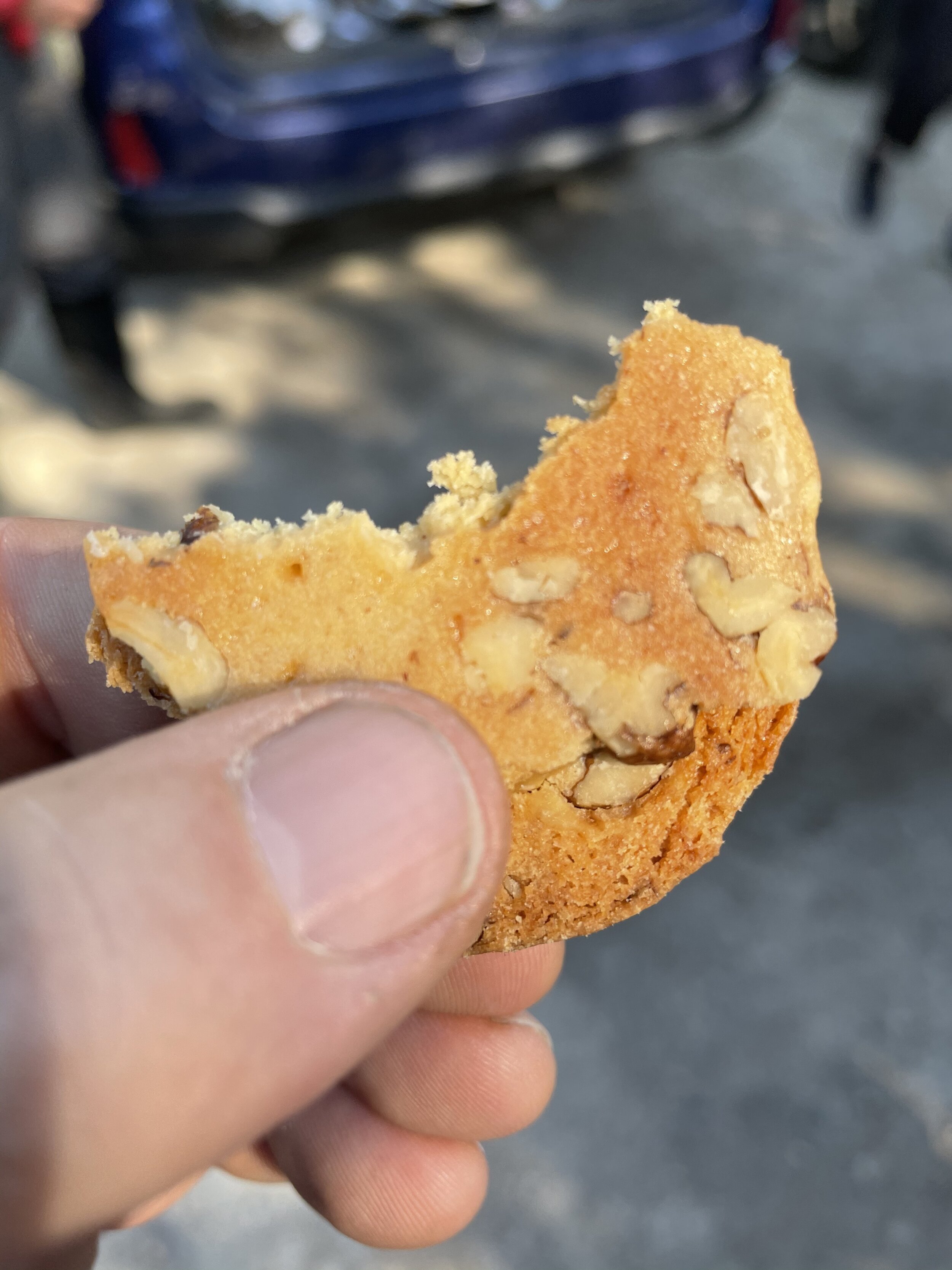  Russ brought some absolutely delicious Shagbark Hickory Nut Maple cookies as a reward for getting to the end of the walk!  