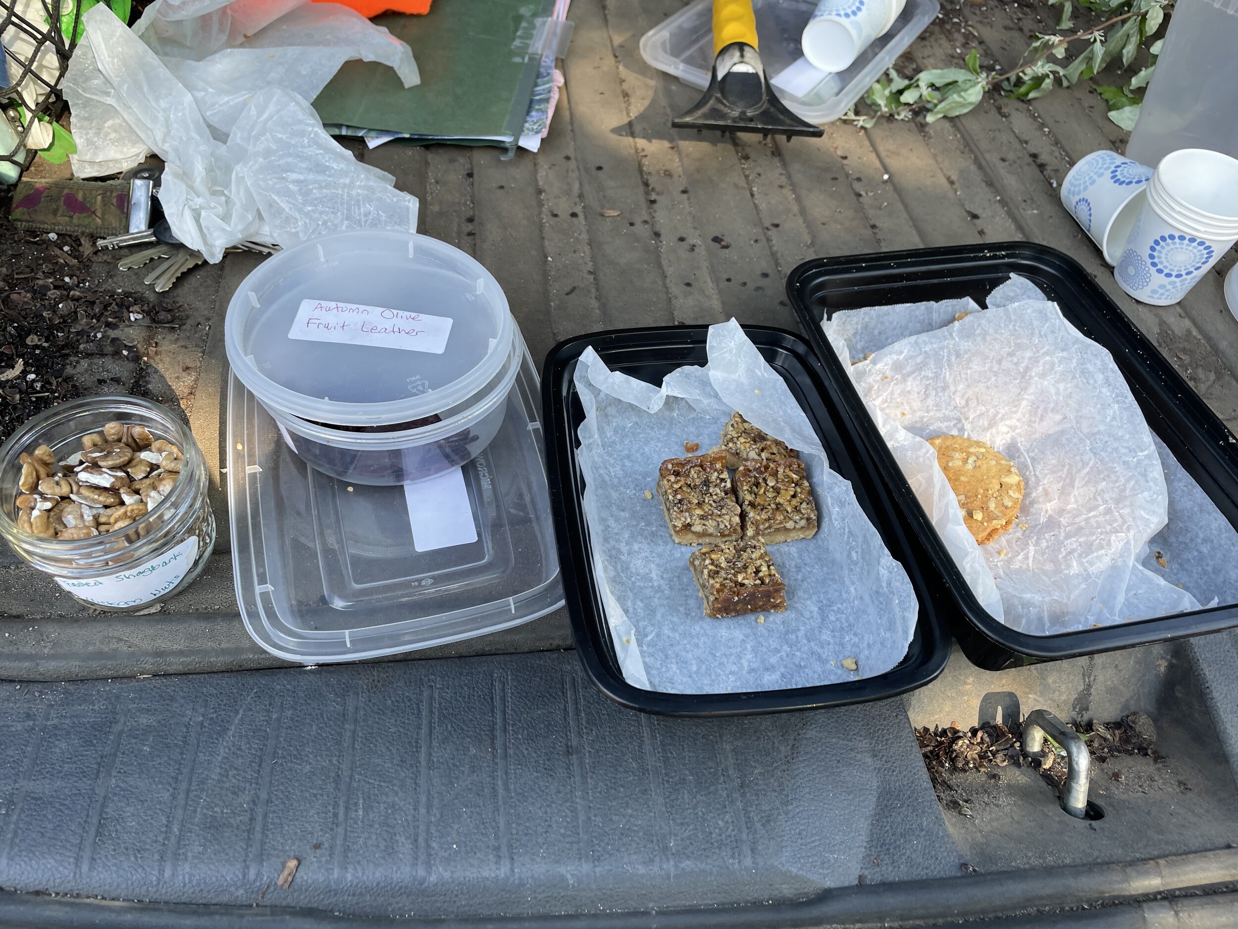  He also brought some delicious Honey/Black Walnut bars and Autumn Olive fruit leather and some Sumac “Lemonade” to wash it all down. What a great way to end such a wonderful class learning about some of the bounty that surrounds us. 