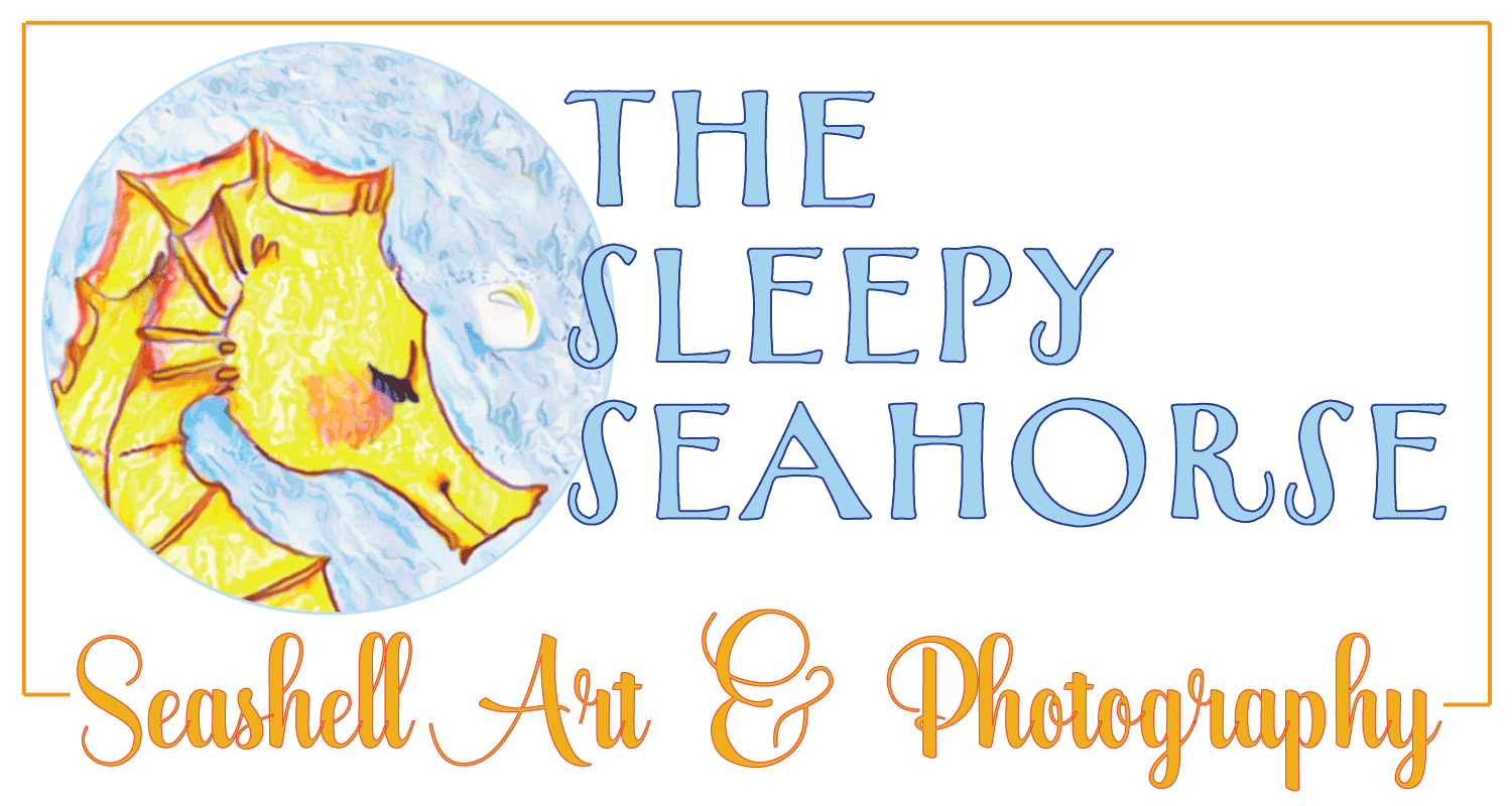 The Sleepy Seahorse