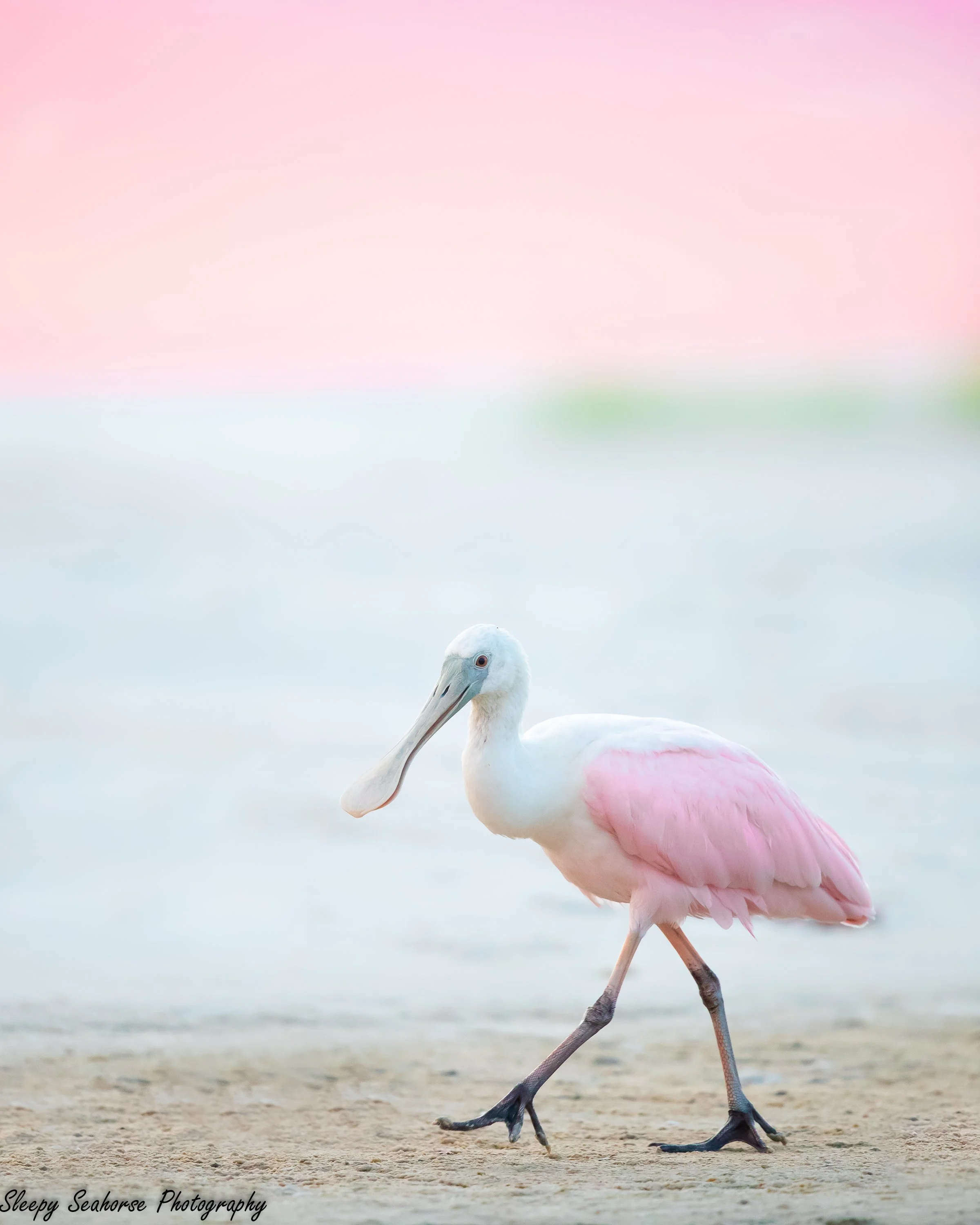untitled-0687.jpg