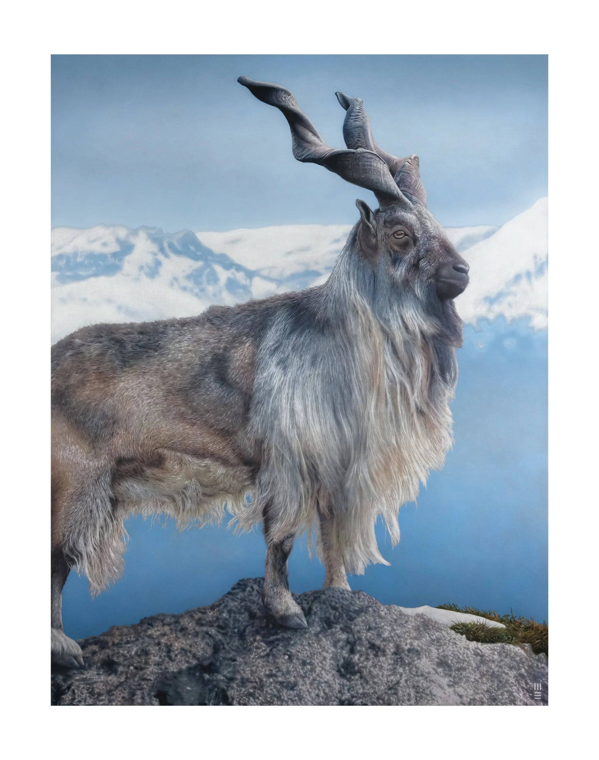 CATALOGUE SHOT DSCF7776.jpg