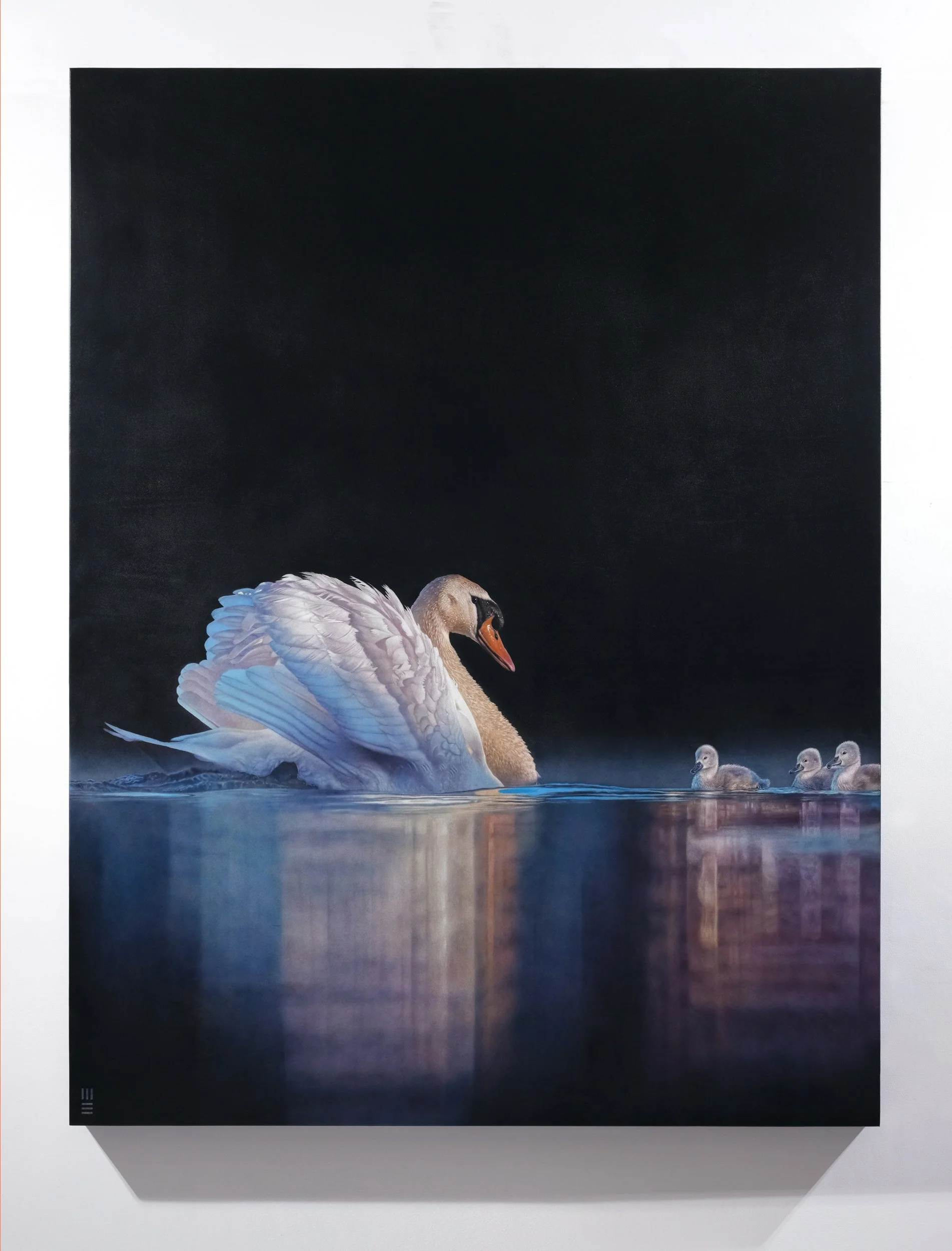 CATALOGUE CARMEN SWAN 170CM X 130CM DSCF5736.jpg