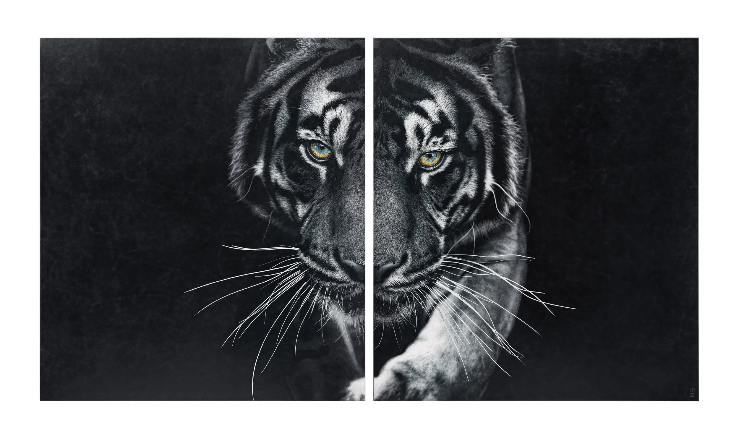 10 TIGER GOLDENLIGHT CATALOGUE.jpg
