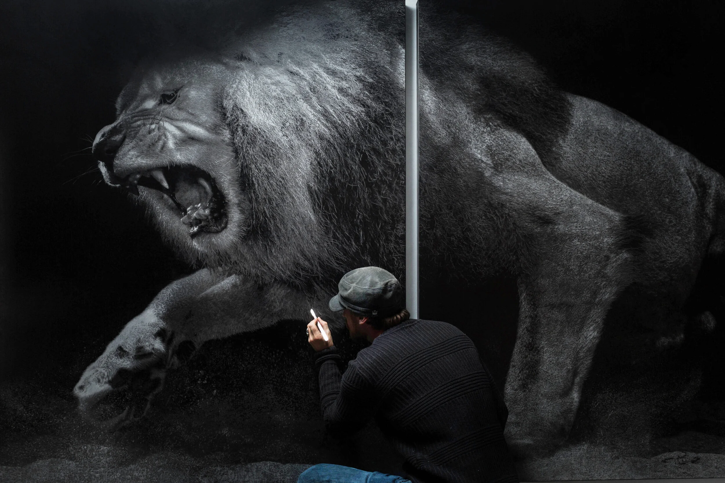 14 LION MEartSUT_180730_4321.jpg