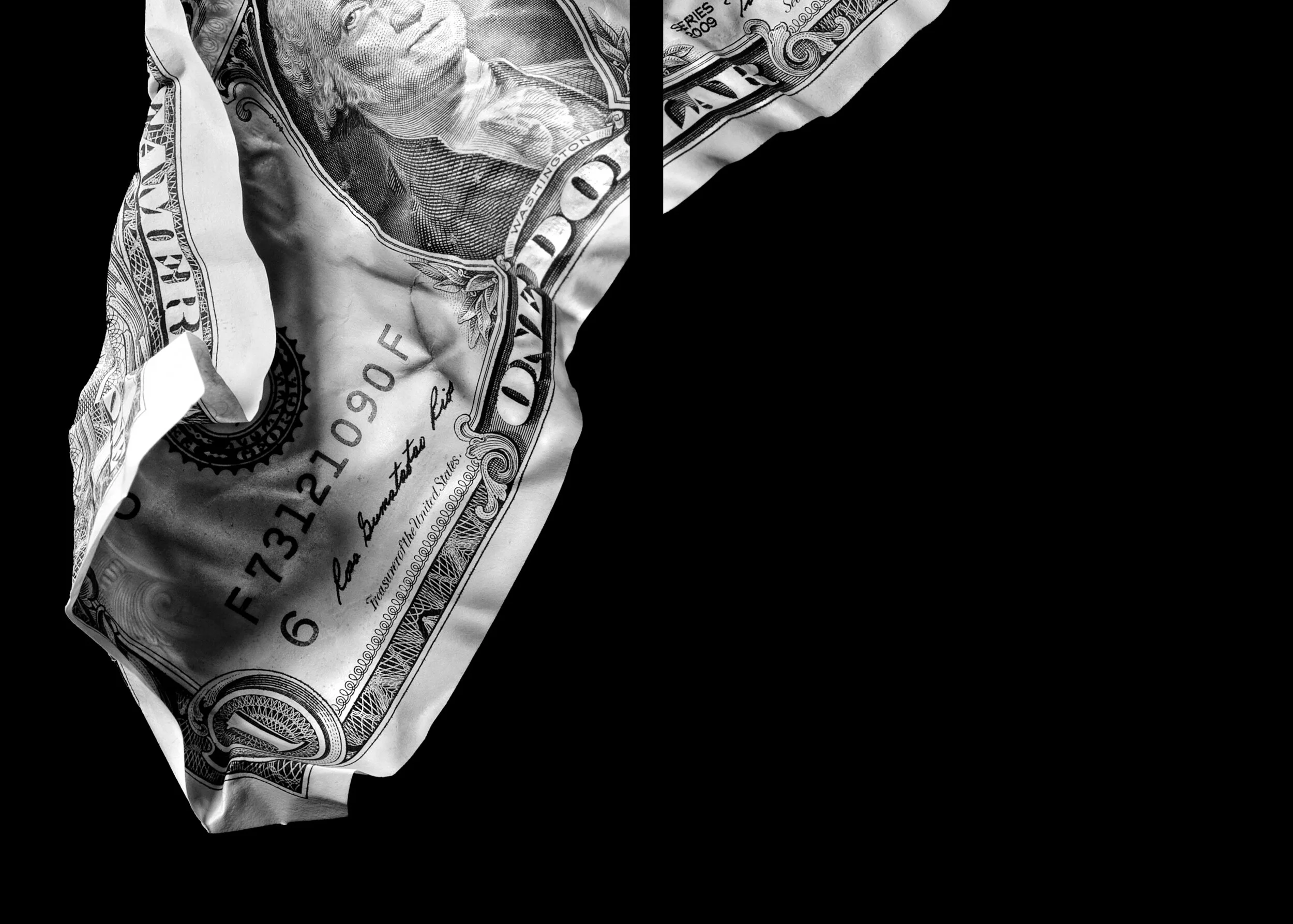 Panel_Dollar.jpg