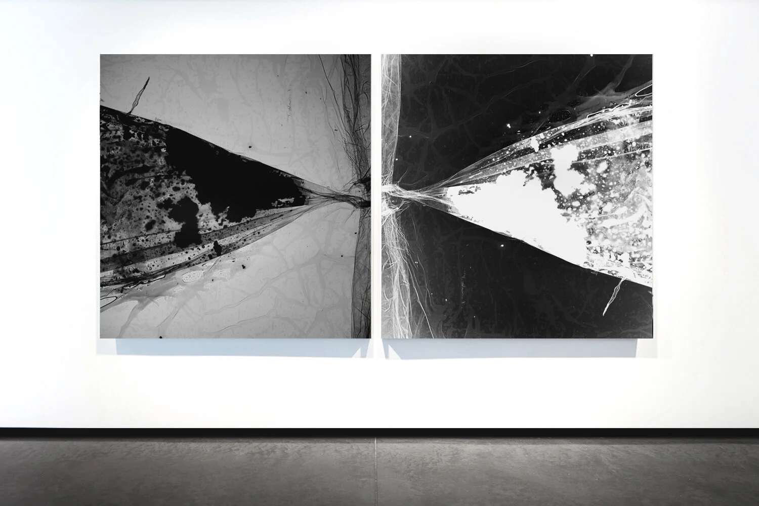 07 MEMBRANE_DIPTYCH_RMB_4.jpg