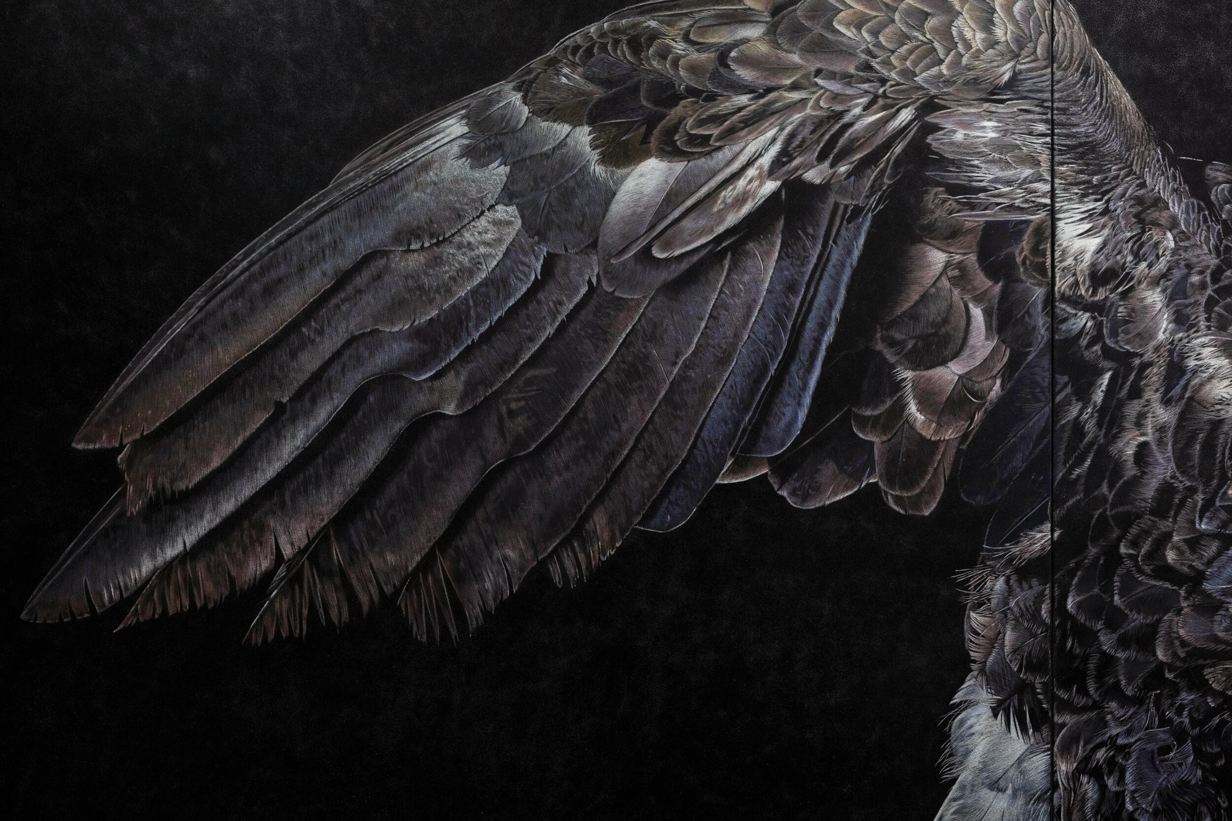 04 MEartSUT_190423_Eagle_7024.jpg