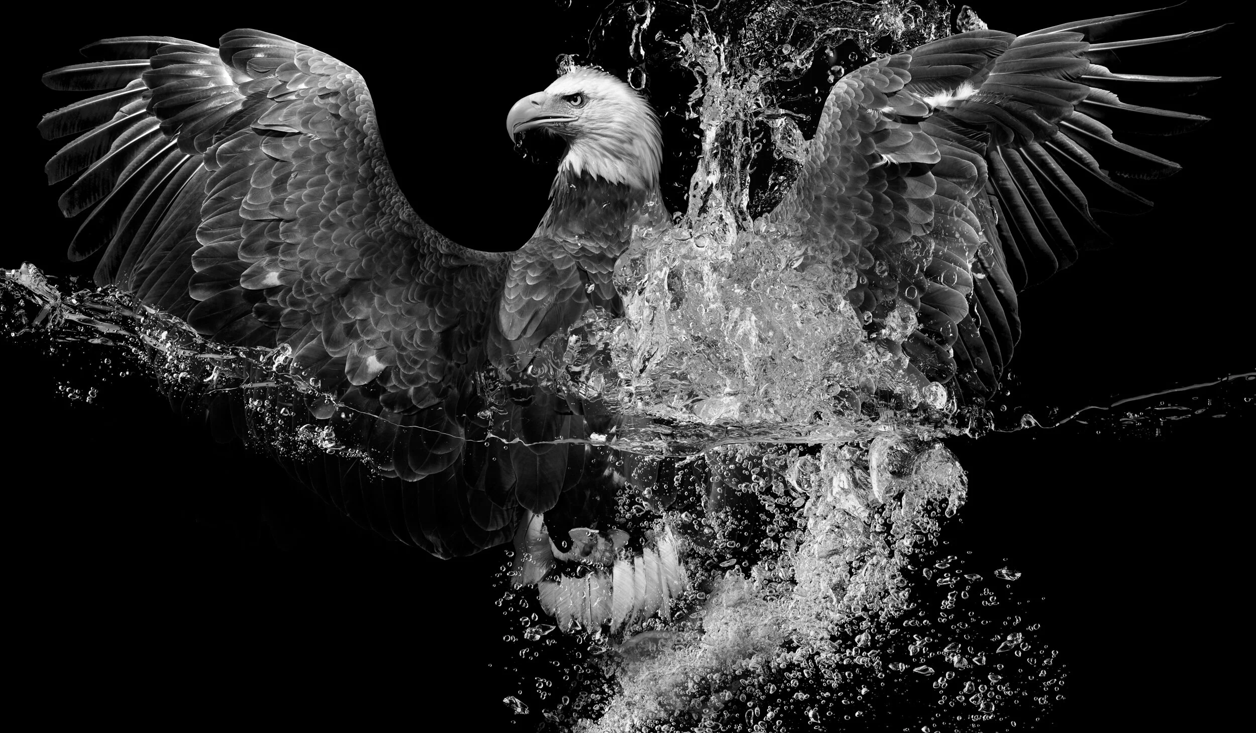 10 EAGLE 5.jpg