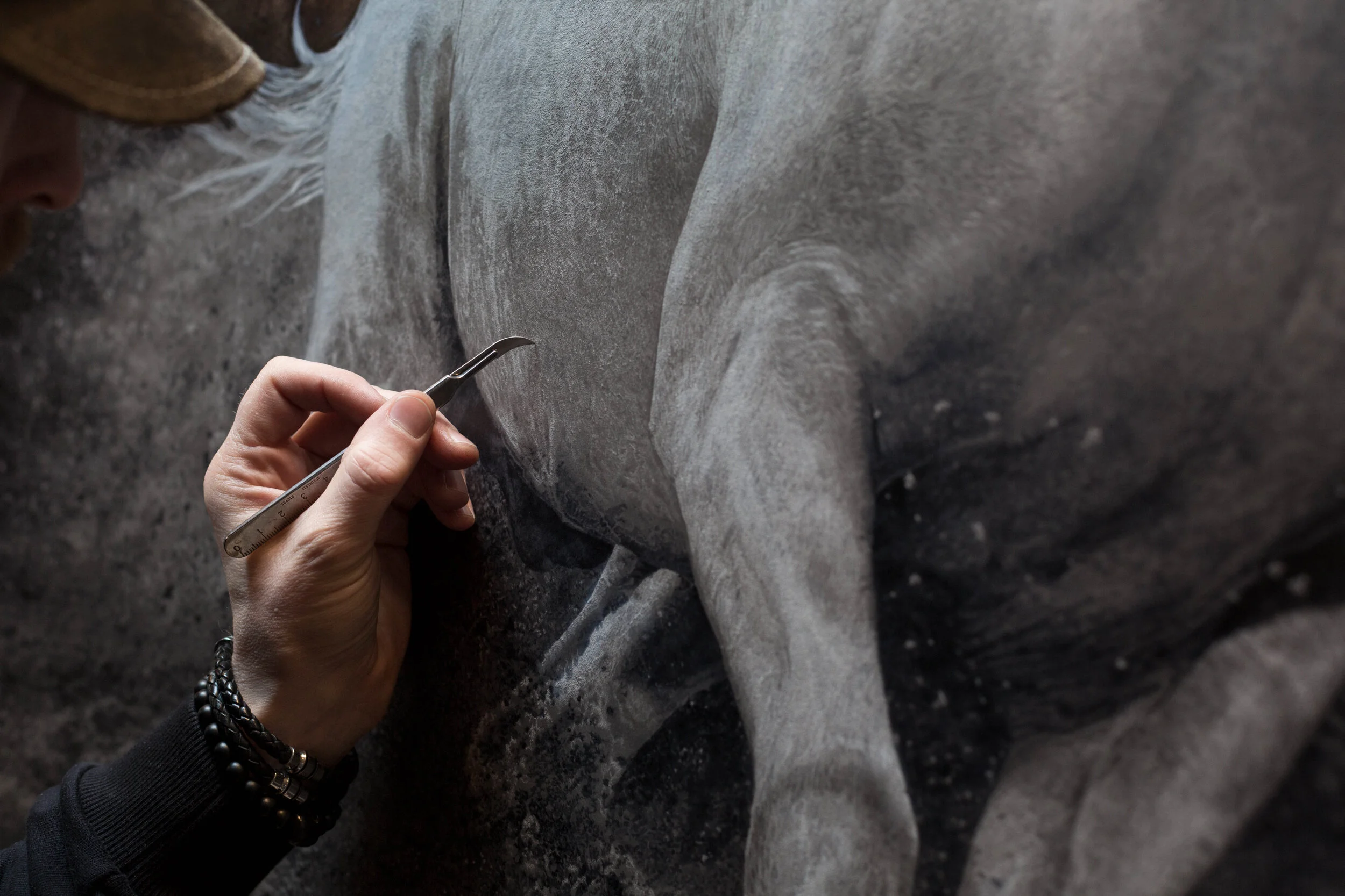 11 MEart_Arabian_Horse_Working_170106_3749.jpg