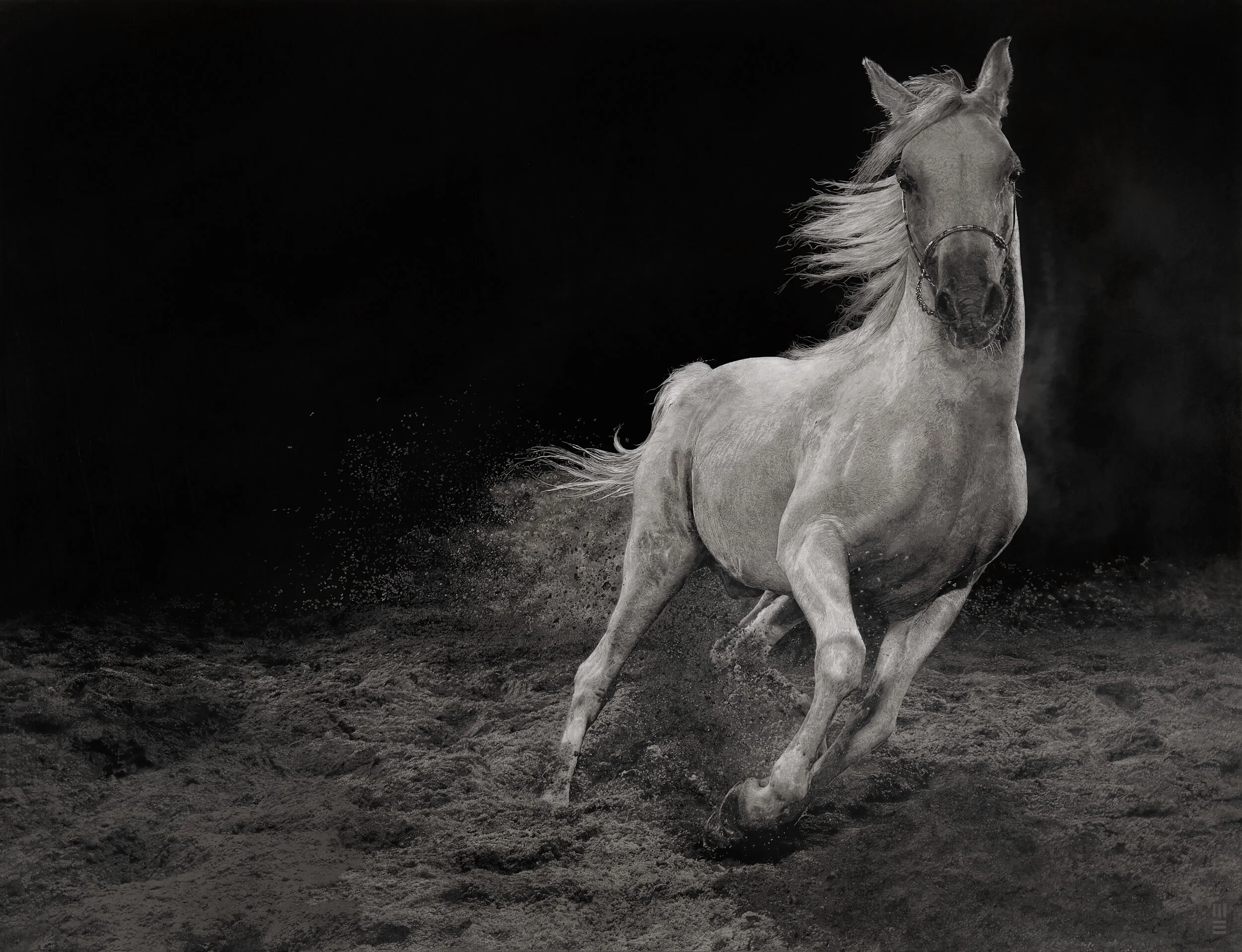 18 WHITE STALLION__130cmx170cm_MEart_Arabian_Horse_Catalogue_170106_3489.jpg