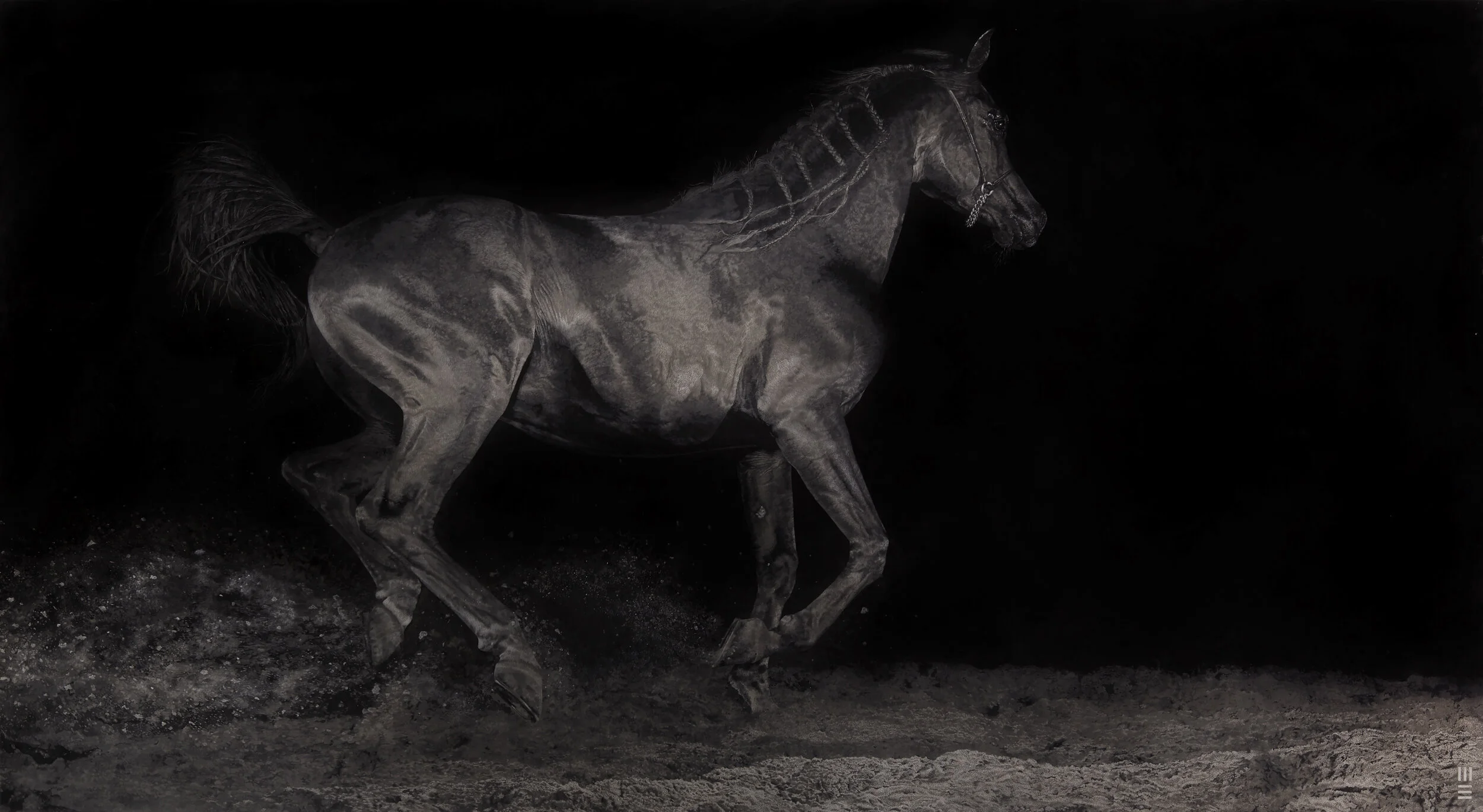 21 MOHAMMED HORSE_104cm_190cm_MEAsut_170314_2346.jpg