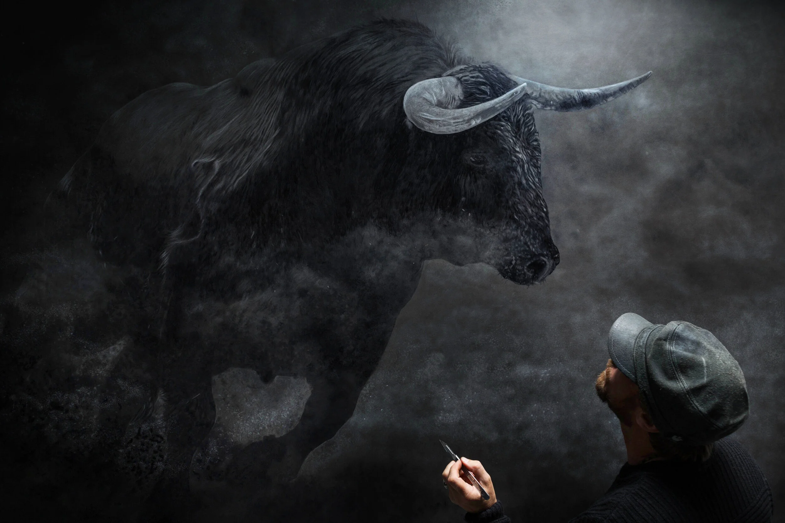 BULL MEartSUT_180730_4330.jpg