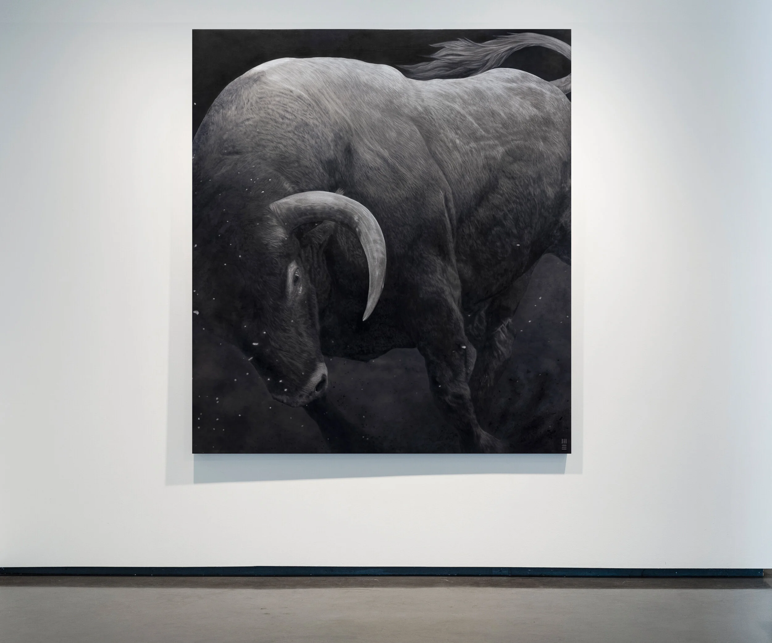 BULL ROIS_BULL_wall.jpg