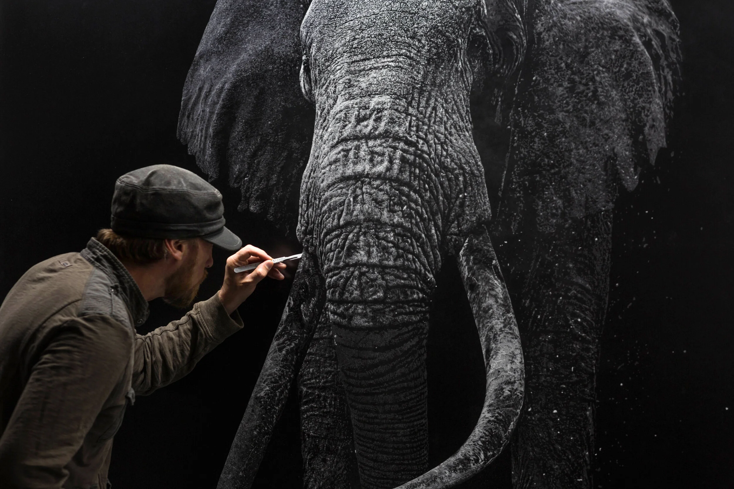 ELEPHANT MEartSUT_180730_3969.jpg