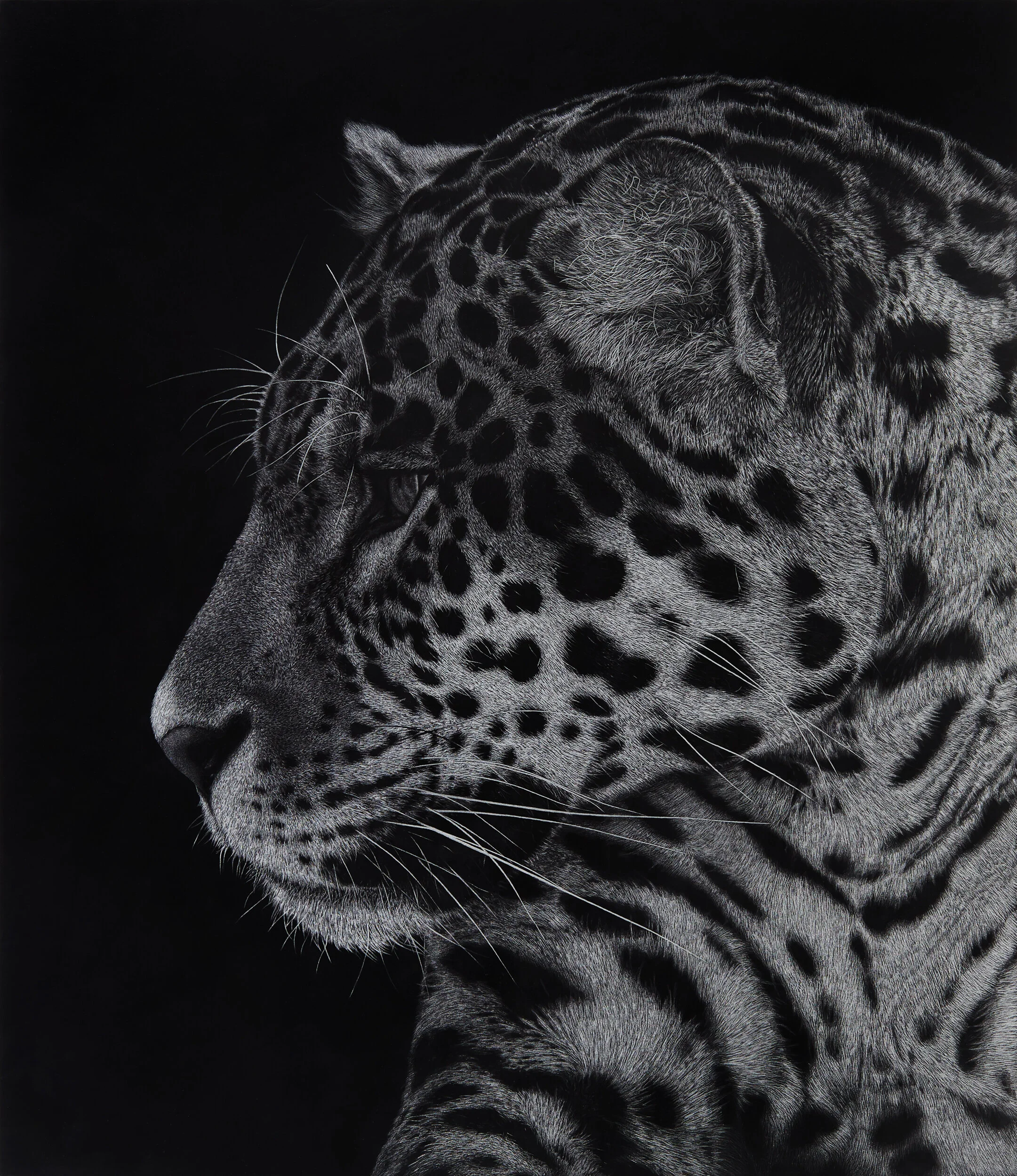 JAG MEart_180107_Catalogue_01589_JAGUAR HEAD_125x108.jpg