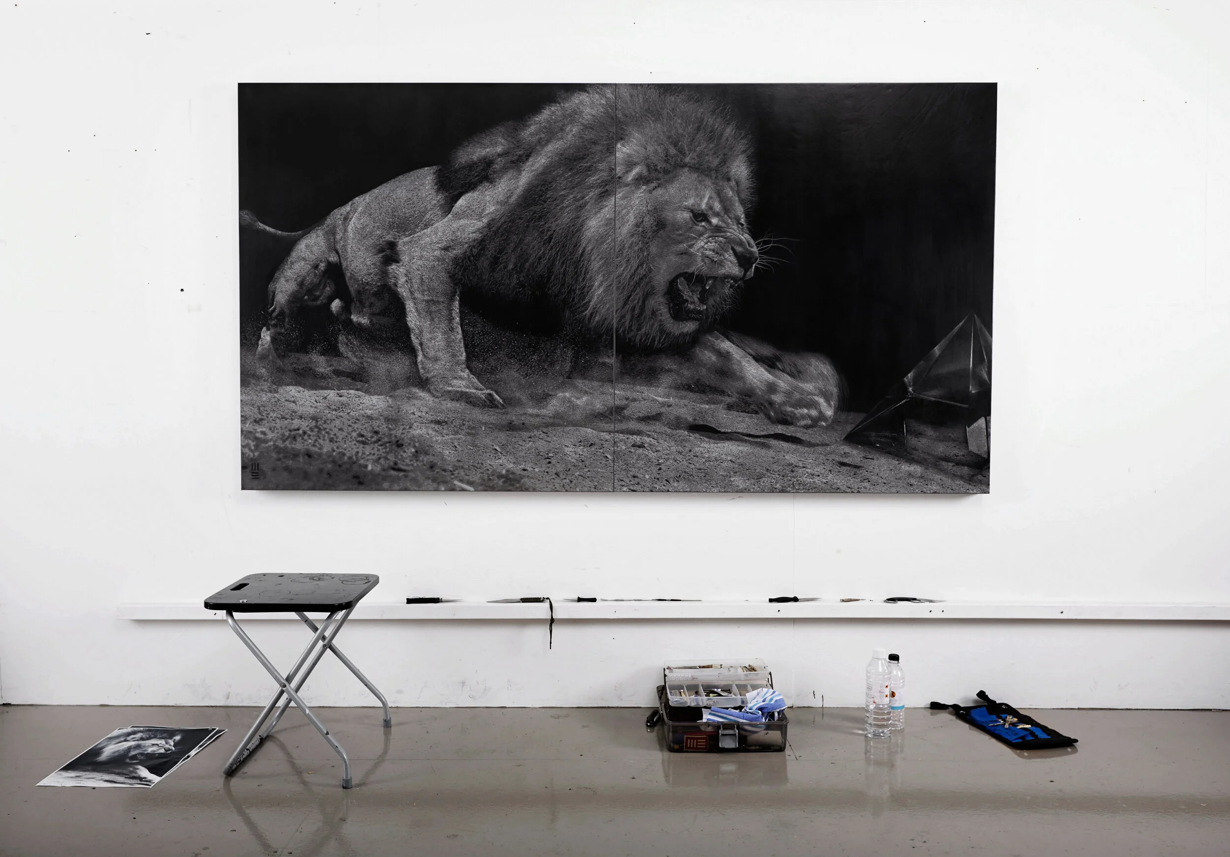 LION MESUT_140508_Works_2652HC.jpg