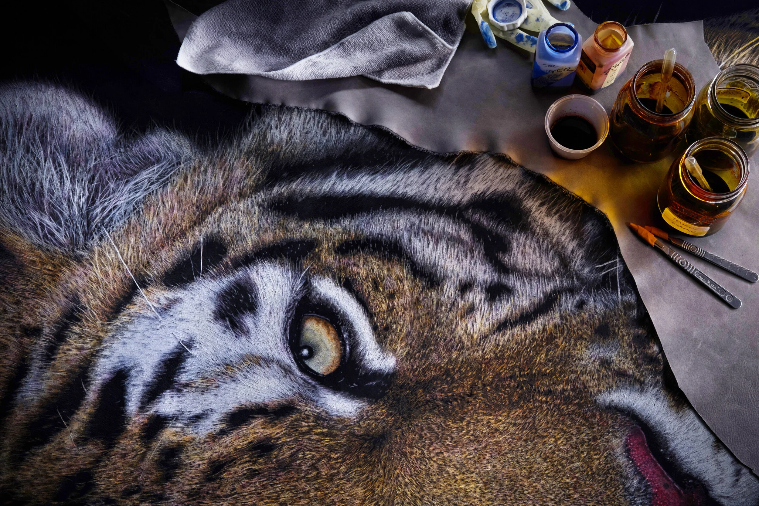 TIGER.DSCF3248.jpg