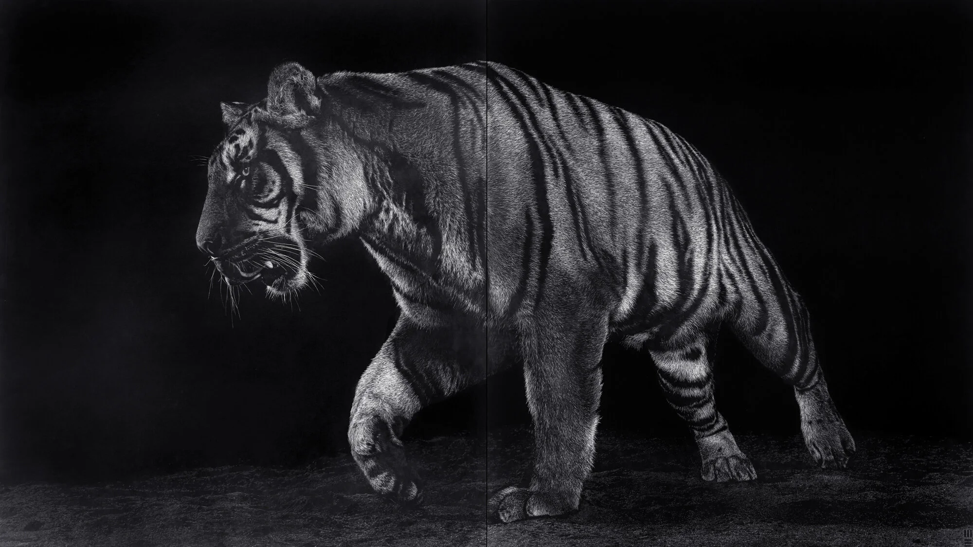 MEA-0578_STEALTH_SB_tiger_diptych_135cmx240cm.jpg