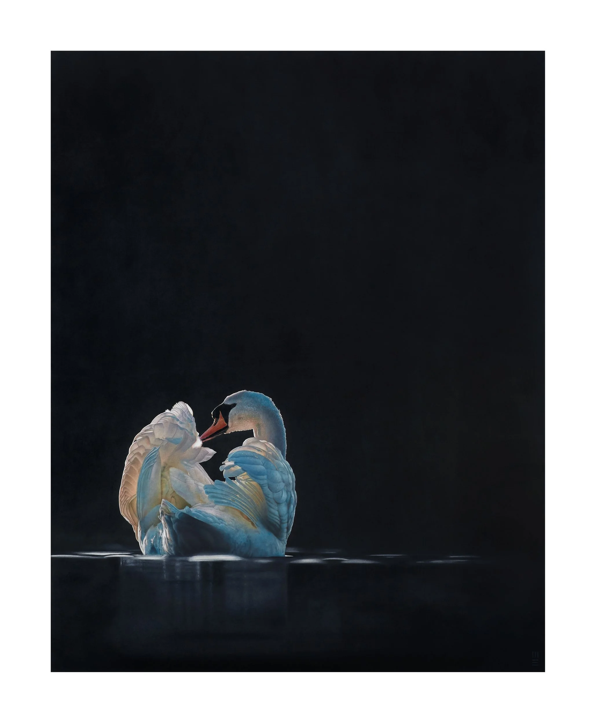 COLOUR SWANMEartSUT_220114_Catalogue_2123.jpg