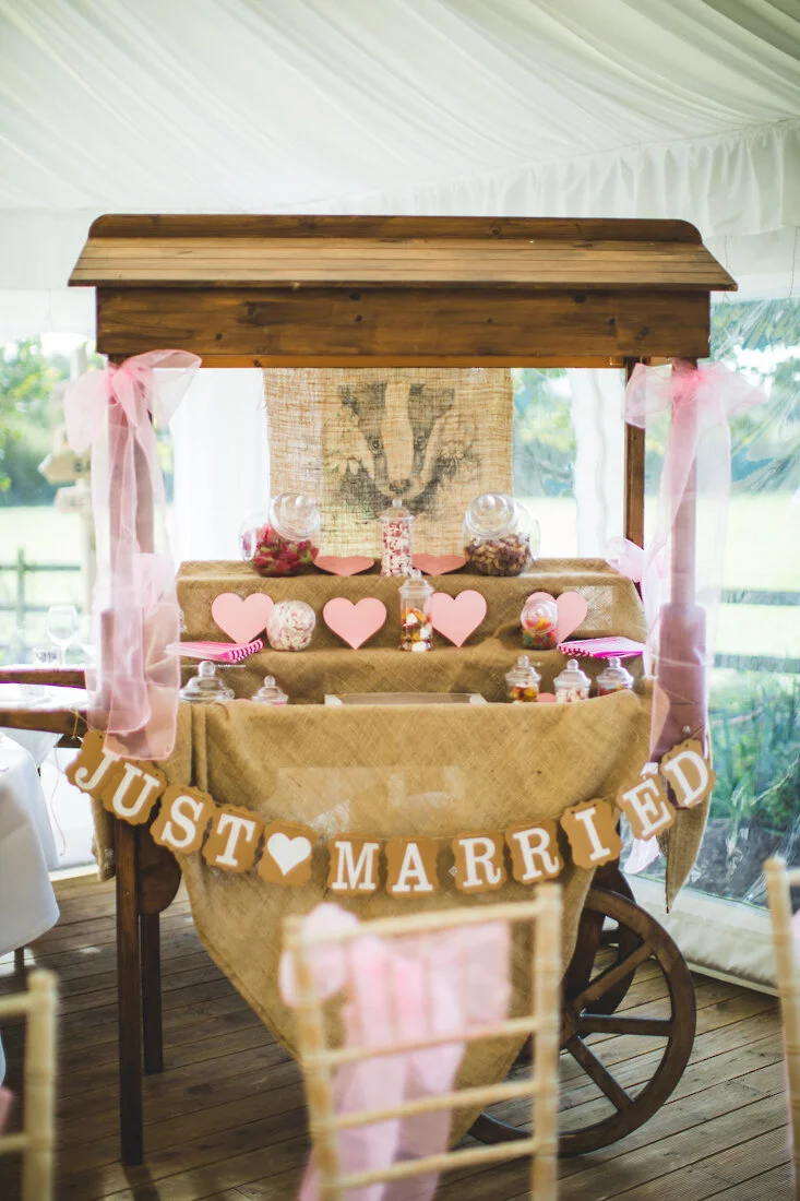 Charli&Ryan_Badgers_Mount_wedding-46.jpg