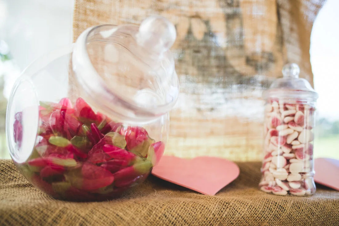 Charli&Ryan_Badgers_Mount_wedding-30.jpg