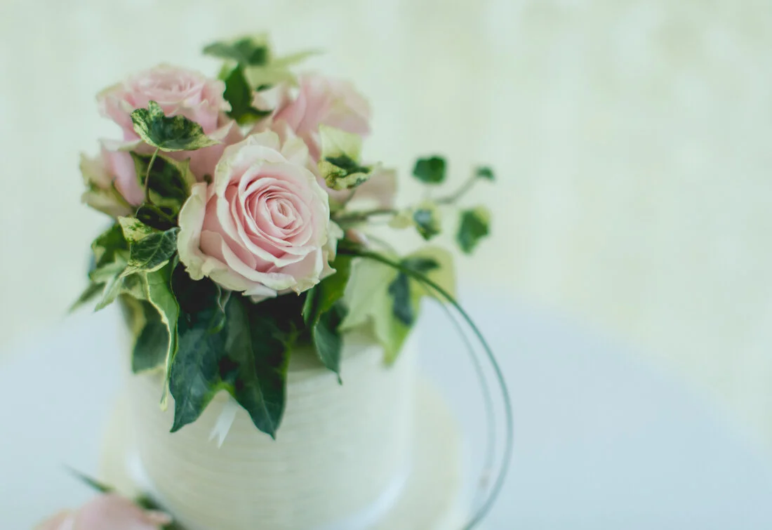 Charli&Ryan_Badgers_Mount_wedding-158.jpg
