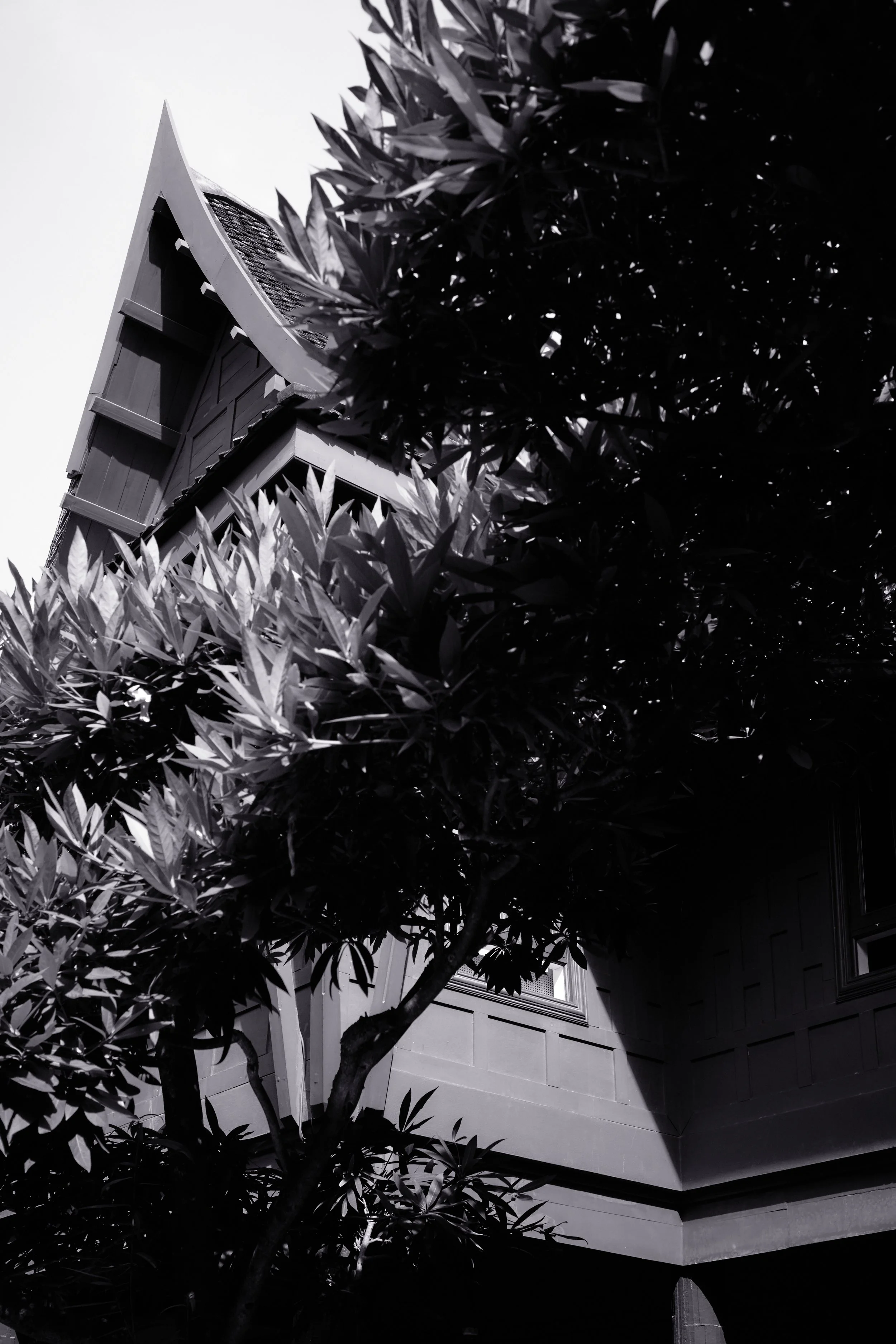 585A6177-High-Res 1.jpg