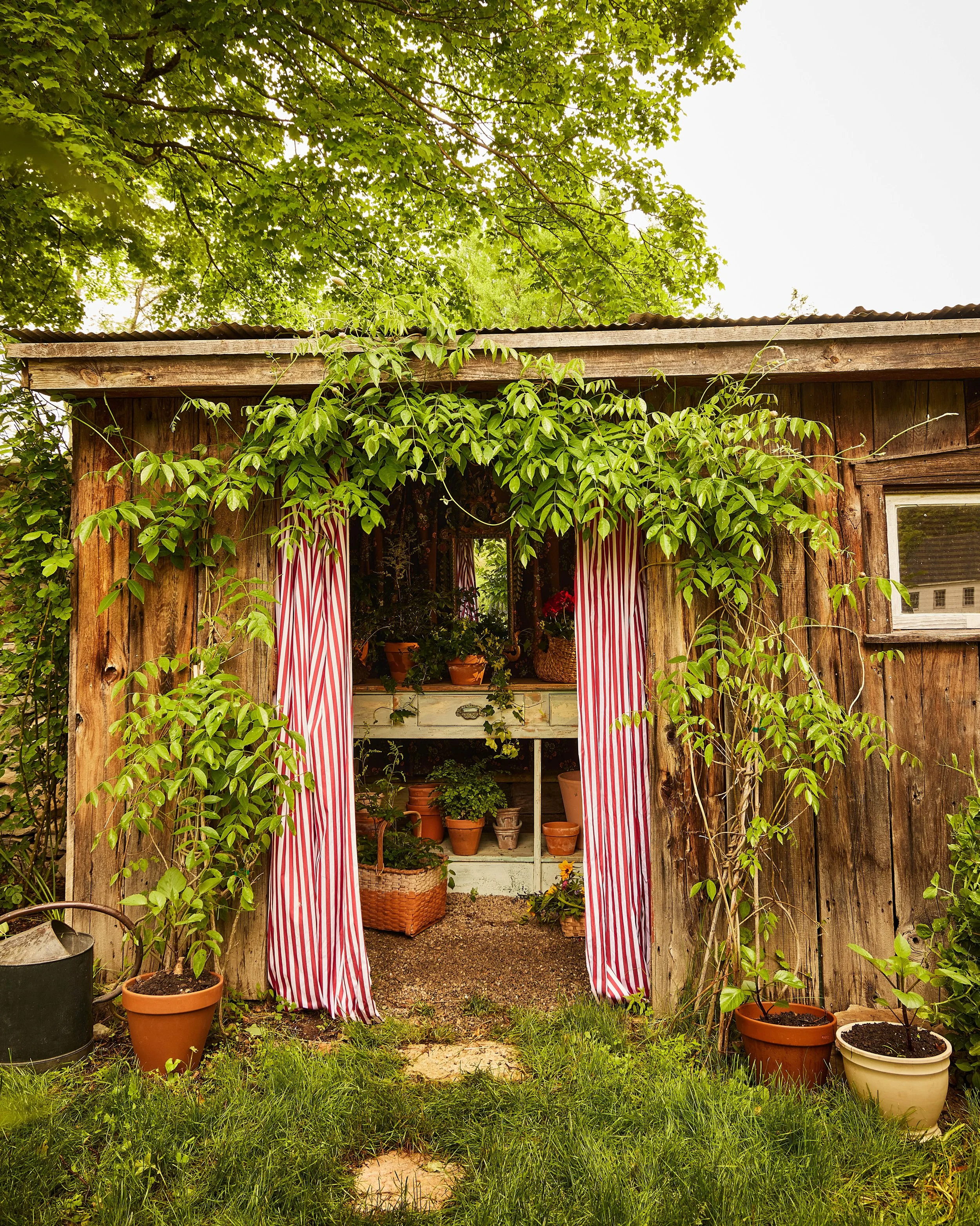 20250521_KateSJordan_YoungHuh_AD_SaltPoint_6413 copyRT.jpg