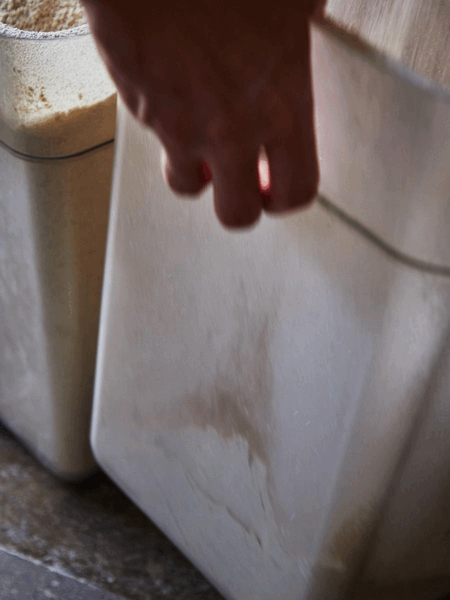 20220715_KateJordan_Mast_MtKisco_Flour.gif
