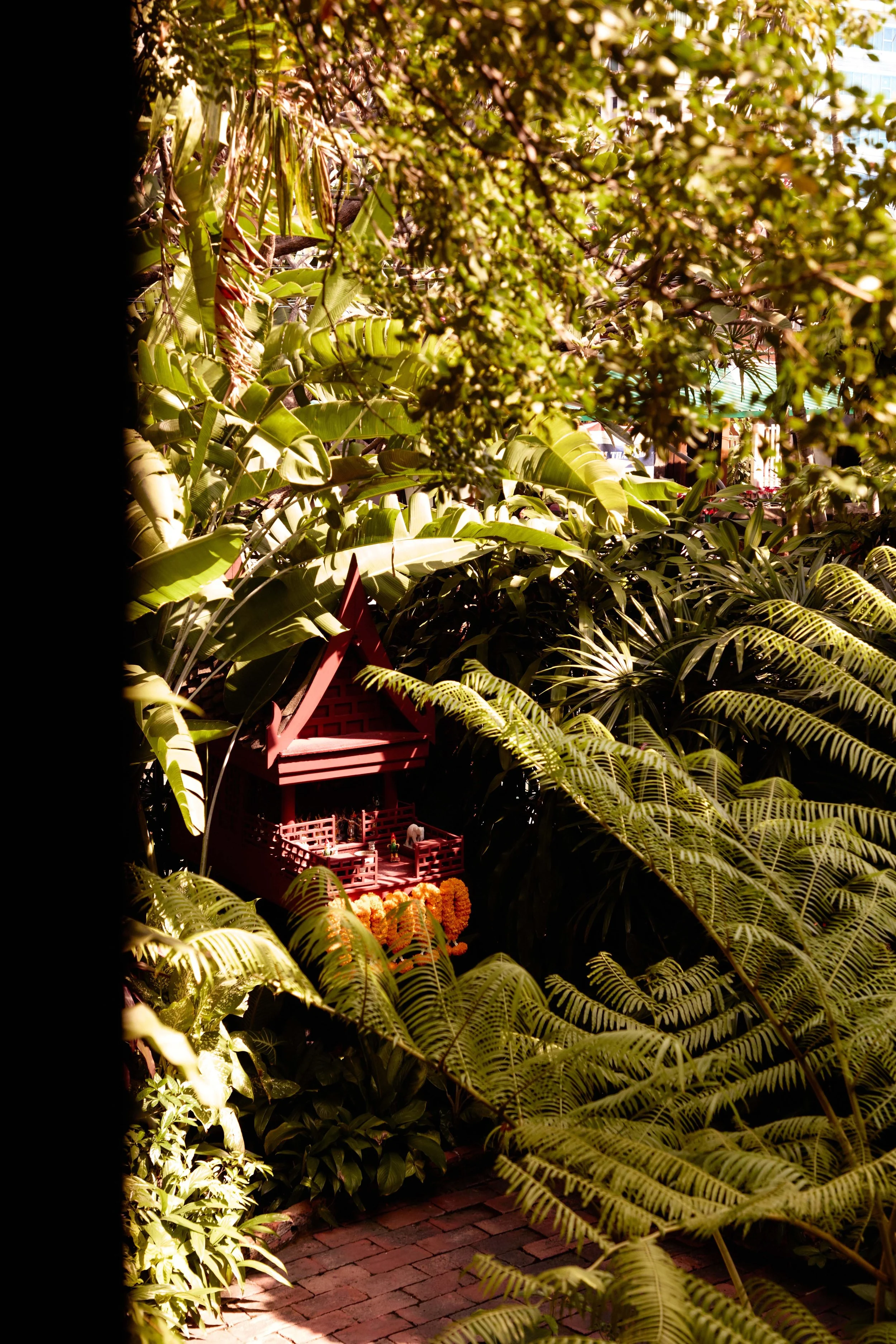 585A6238-High-Res 1.jpg