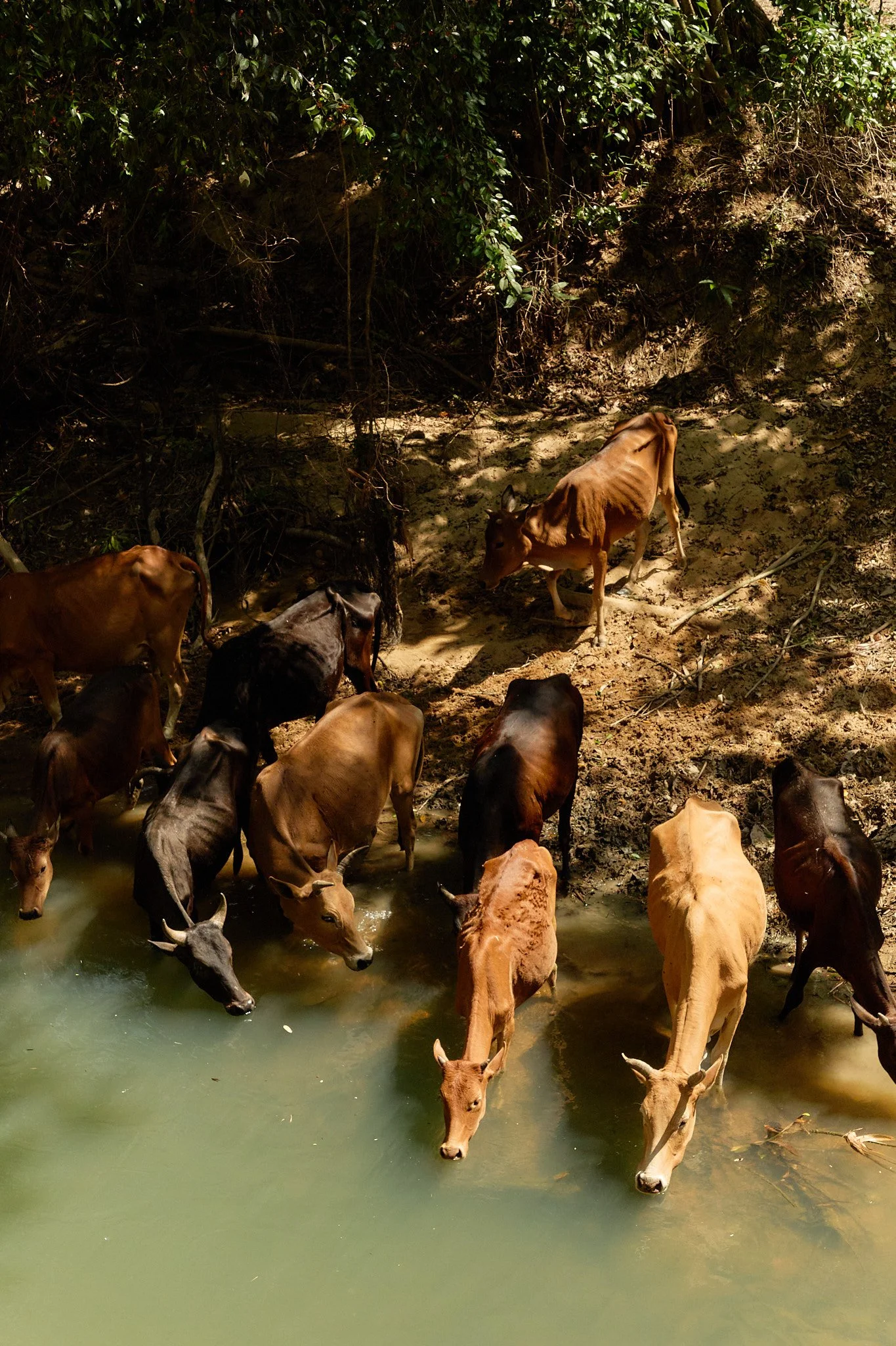 585A5561-Low-Res 1.jpg