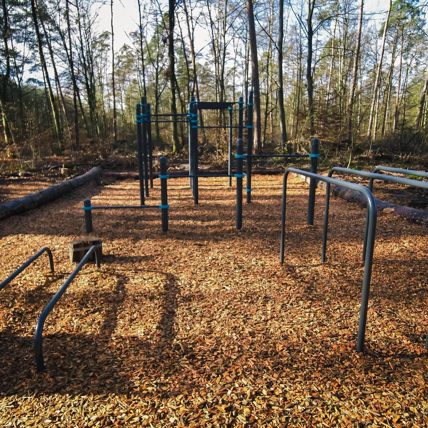 Neue #calisthenics Anlage in der Schwetzinger Hardt als Bestandteil des Konzepts von @forstbw 🏃🏼&zwj;♀️🏃🏽🌲🌳