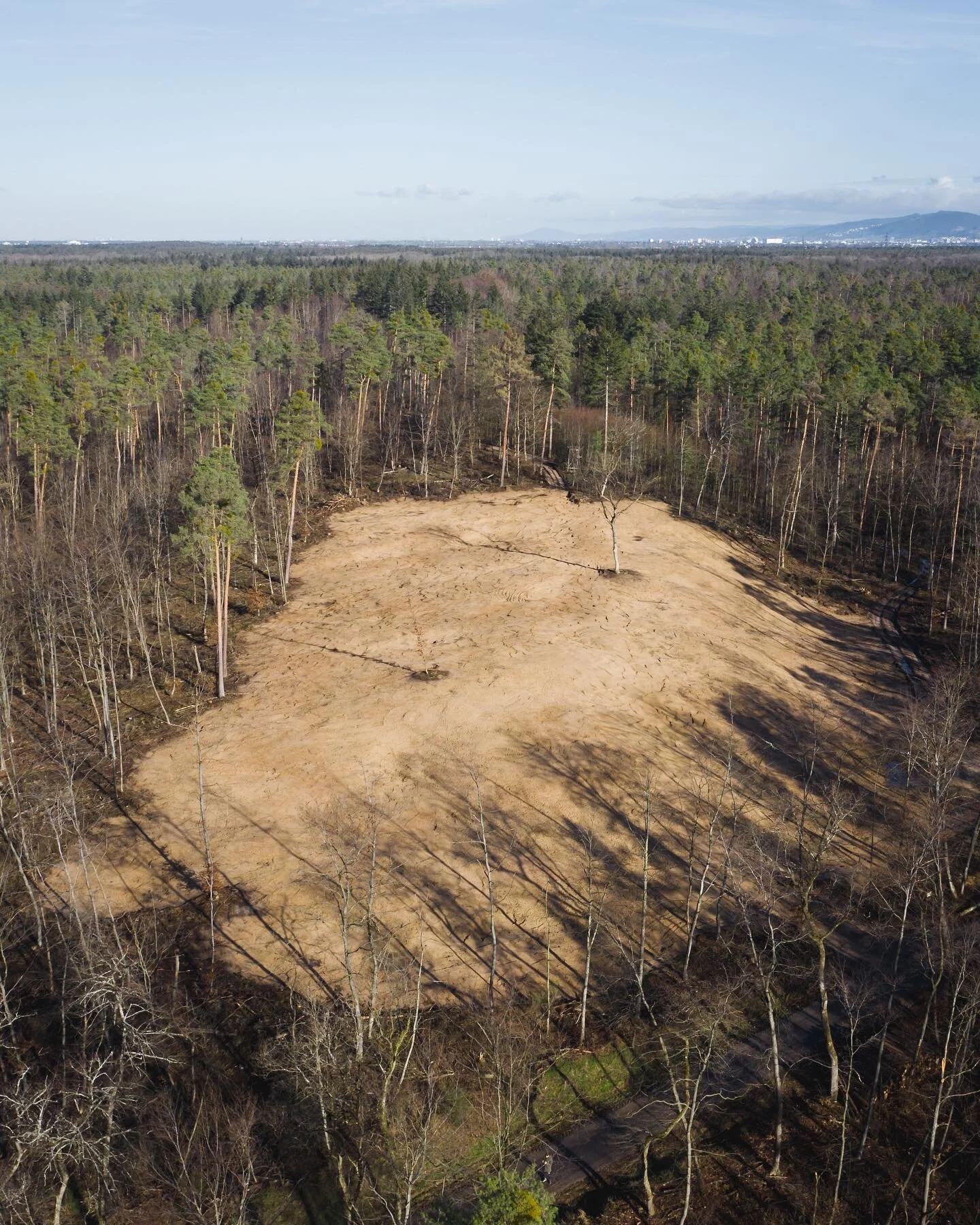 Das letzte Projekt ist fertig. Mit @forstbw in der Schwetzinger Hardt wurde die Renaturierung eines Flurst&uuml;cks begleitet. Morgen gibt es das finale Ergebnis 😊🚁🌲🌳🌱