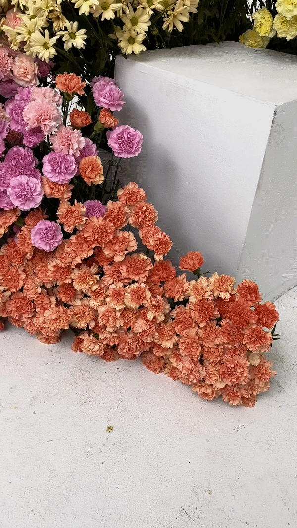 ezgif.com-video-to-gif (12).gif