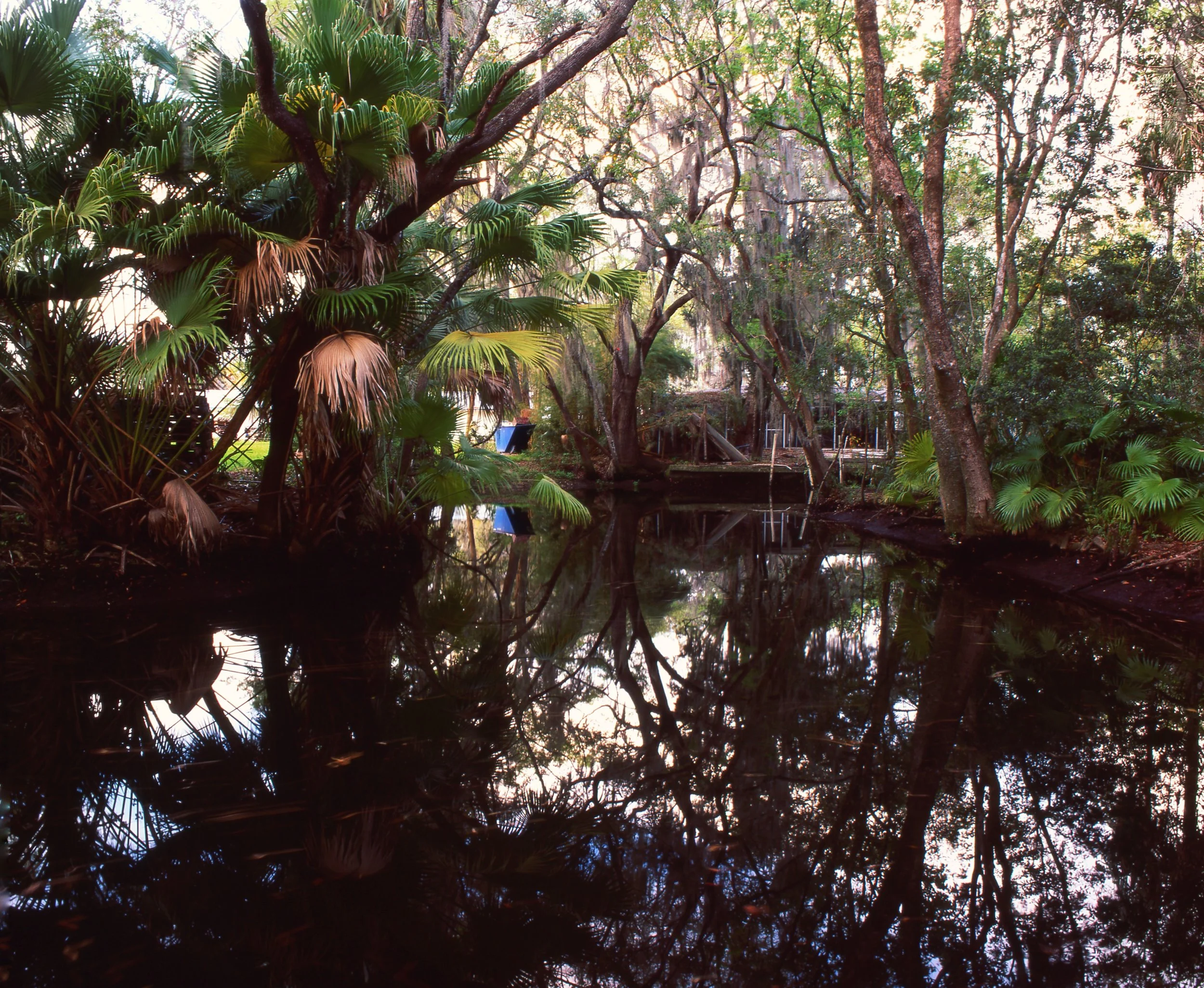 FullSizeRender (12).jpg