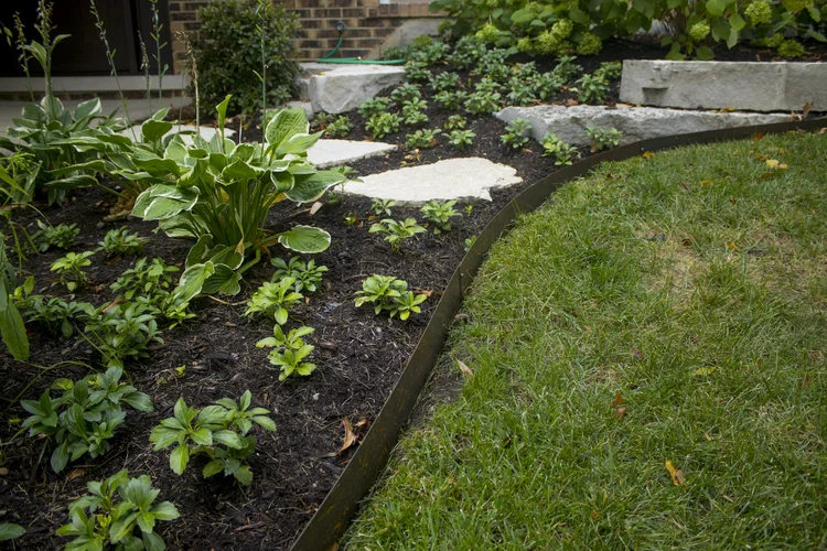 How to Edge around Flower Beds: Easy Tips for a Perfect Garden Look
