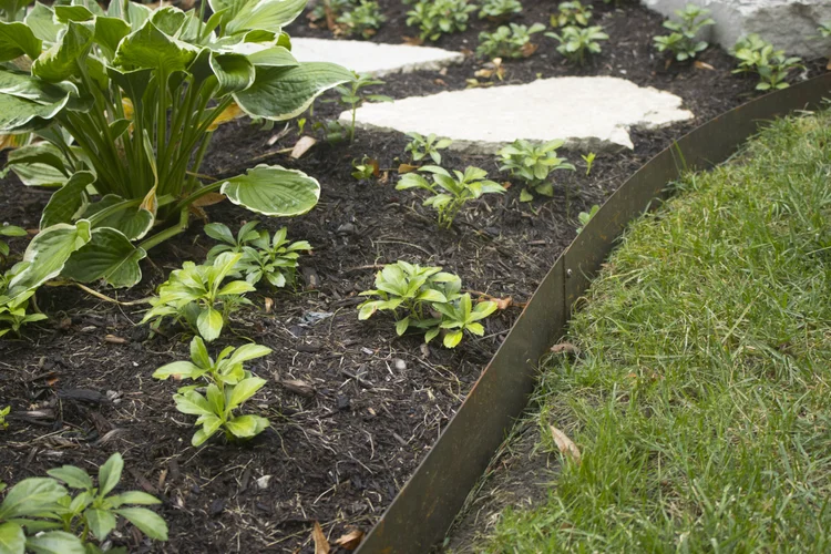 How to Cut Curves With Lawn Edging: Expert Tips for Perfect Edges